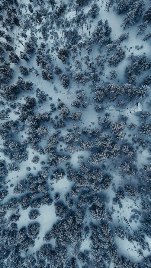 Free A breathtaking aerial view of a snow-covered forest, depicting serene winter beauty. Stock Photo