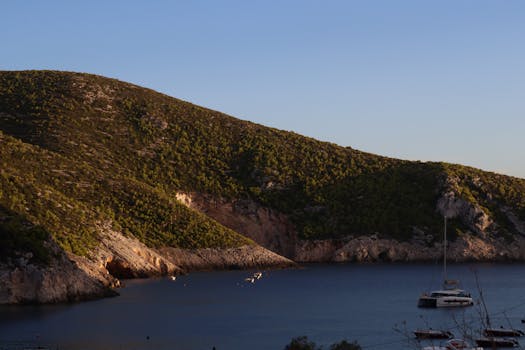 好的，我会按照您的要求进行句子的优化