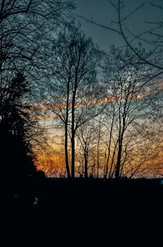 日落是自然现象，通常发生在傍晚时分