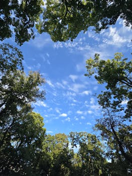 优化后的句子：天空中