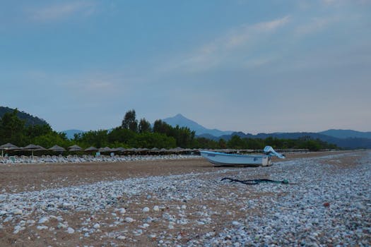 在一个宁静的海滩上，海浪轻柔地拍打着岸边，阳光洒在细腻的沙滩上，波光粼粼