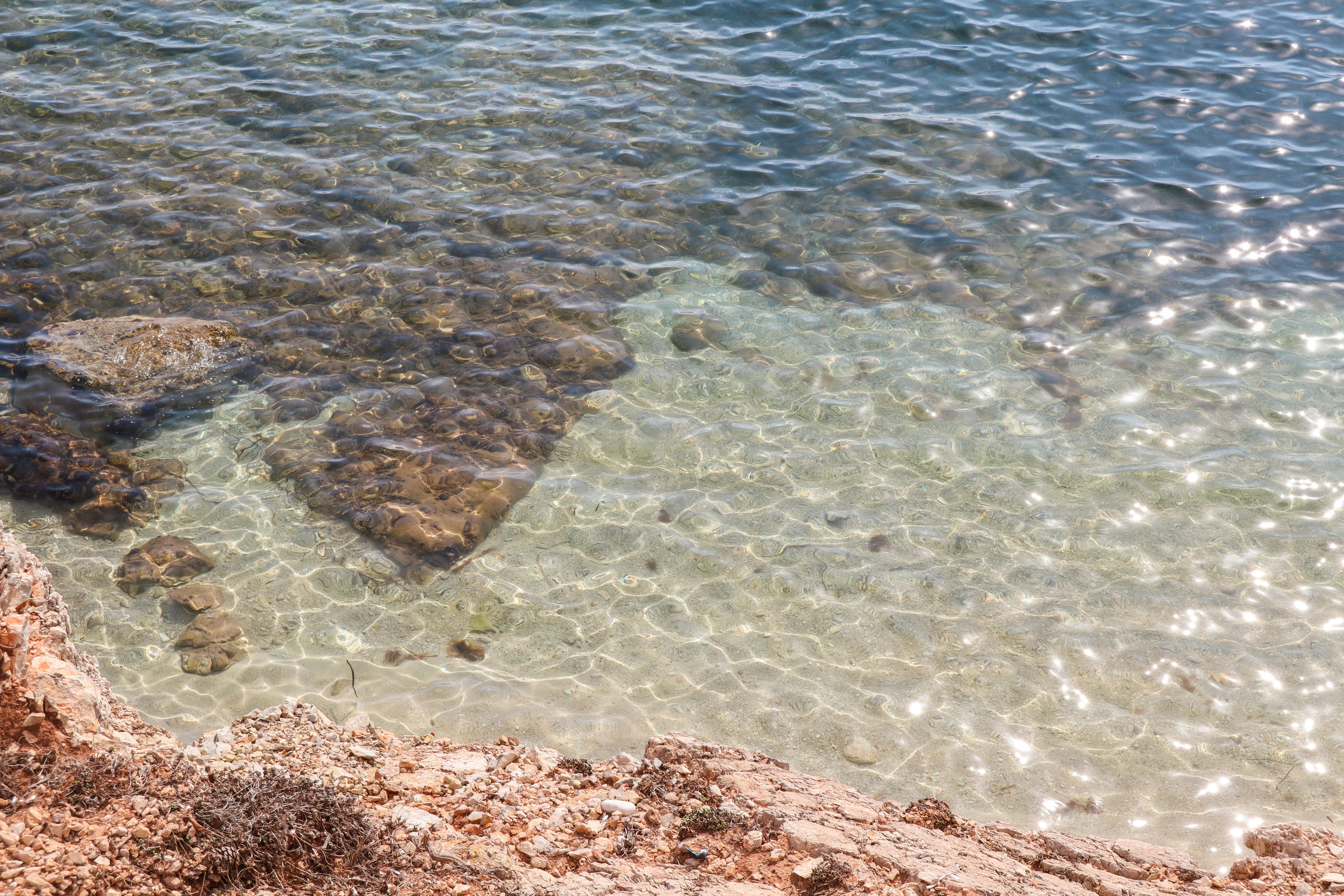 好的，我会按照您的要求进行句子的优化