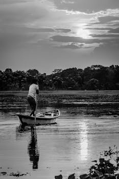 水上的黑白剪影，如同一幅静谧的水墨画