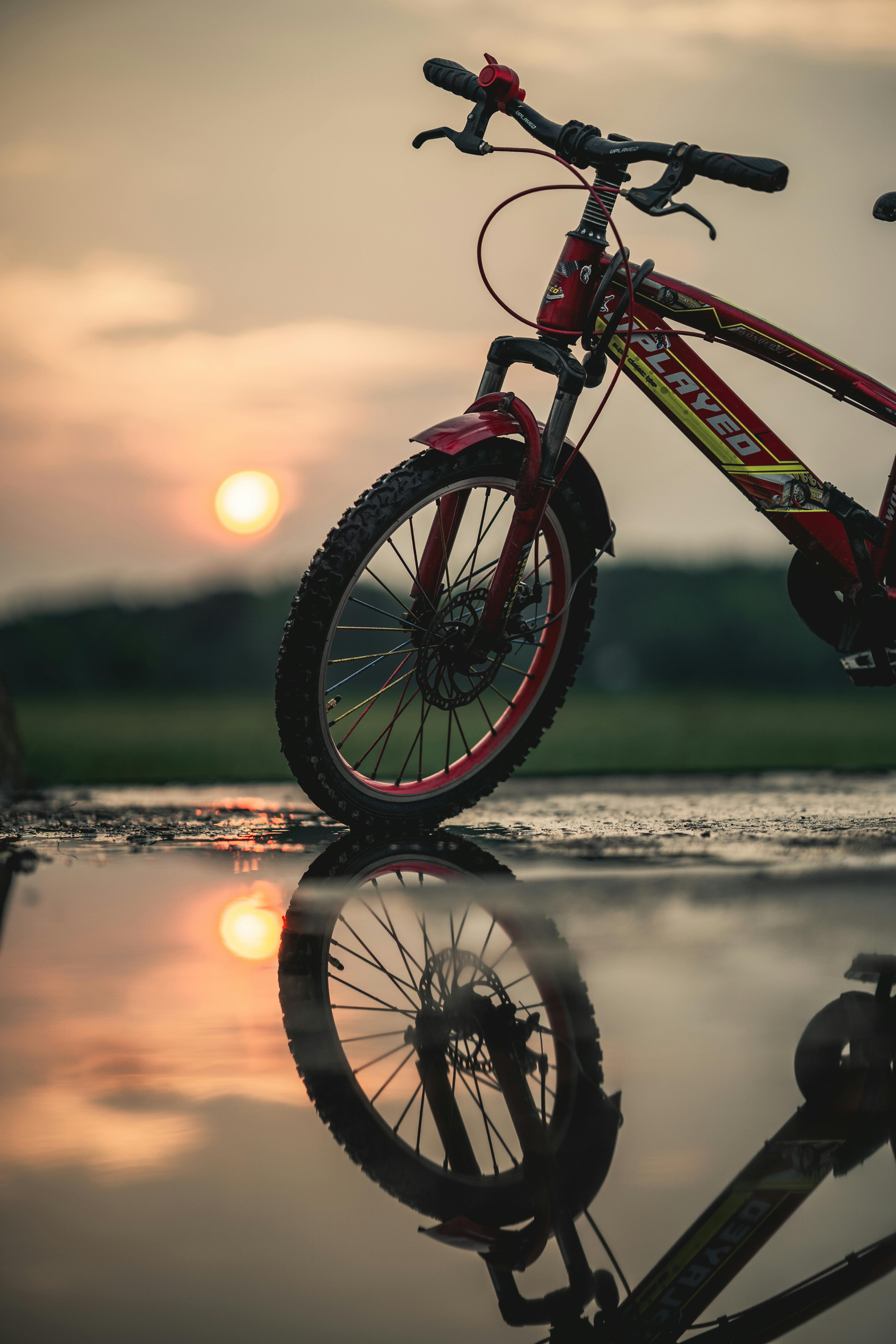 骑士在日落时分