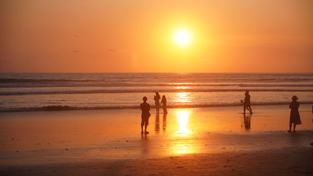 好的，我会按照您的要求进行句子的优化