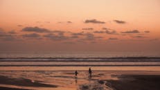 好的，我会遵循您的指示进行句子的优化