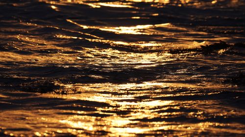Free Captivating golden sunset creating reflections on ocean waves, capturing serenity and natural beauty. Stock Photo