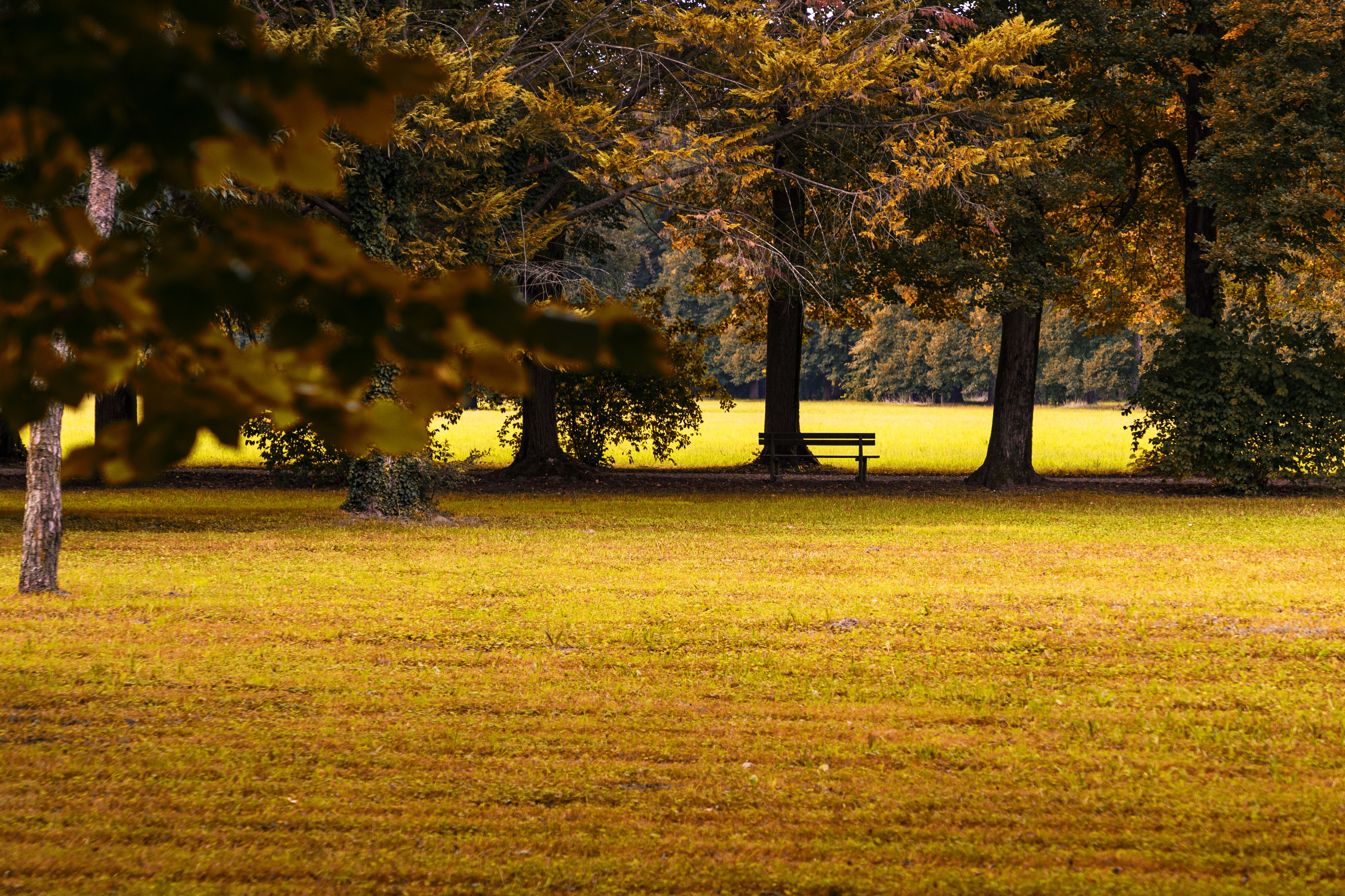 Prospect Park