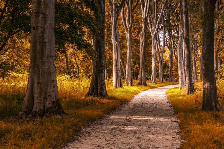 Peaceful rehab campus with walking trails and nature - rehab centers near me alcohol Peaceful rehab campus with walking trails and nature - rehab centers near me alcohol