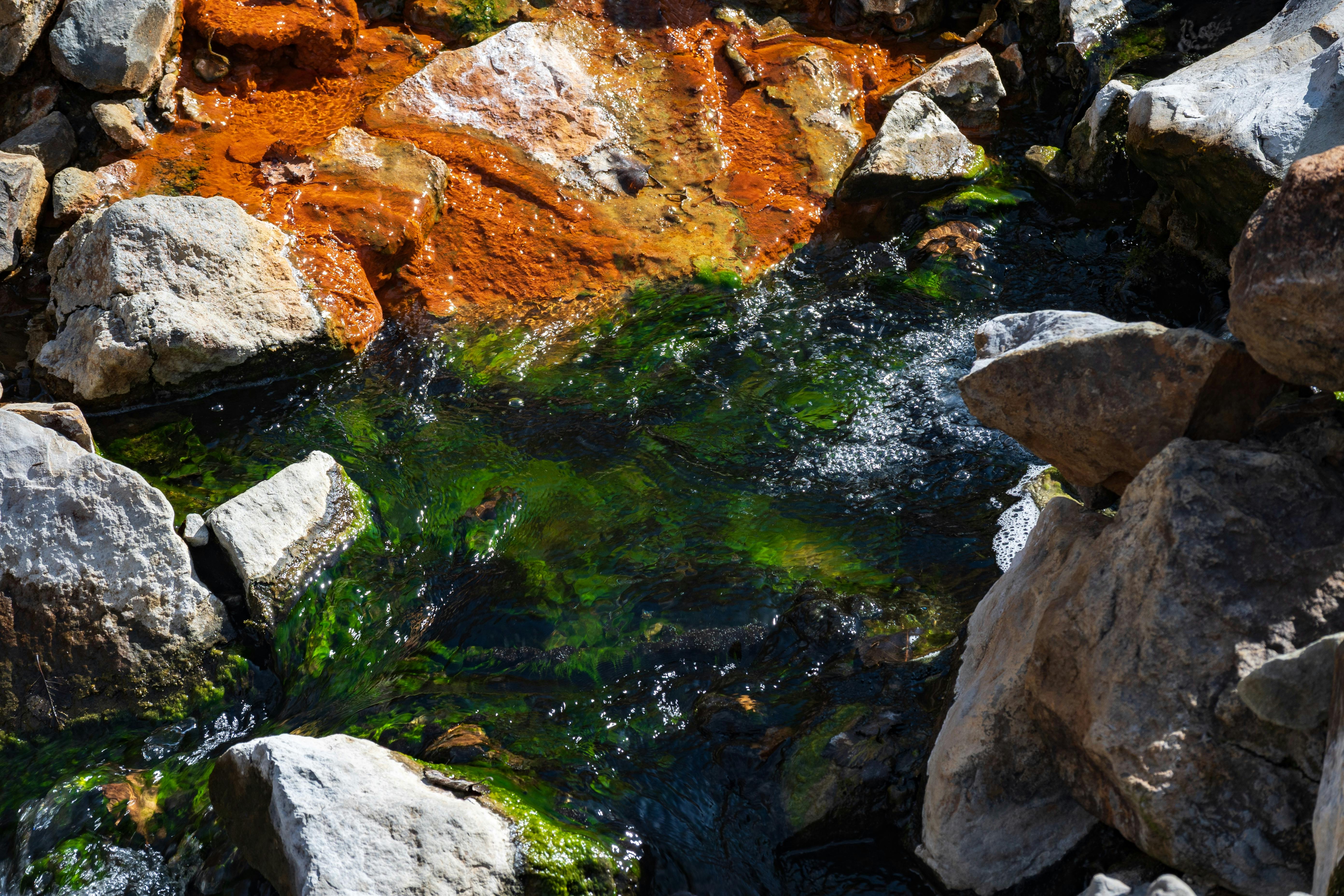 中國官員赴美緩解國際對稀土管制升級的擔憂