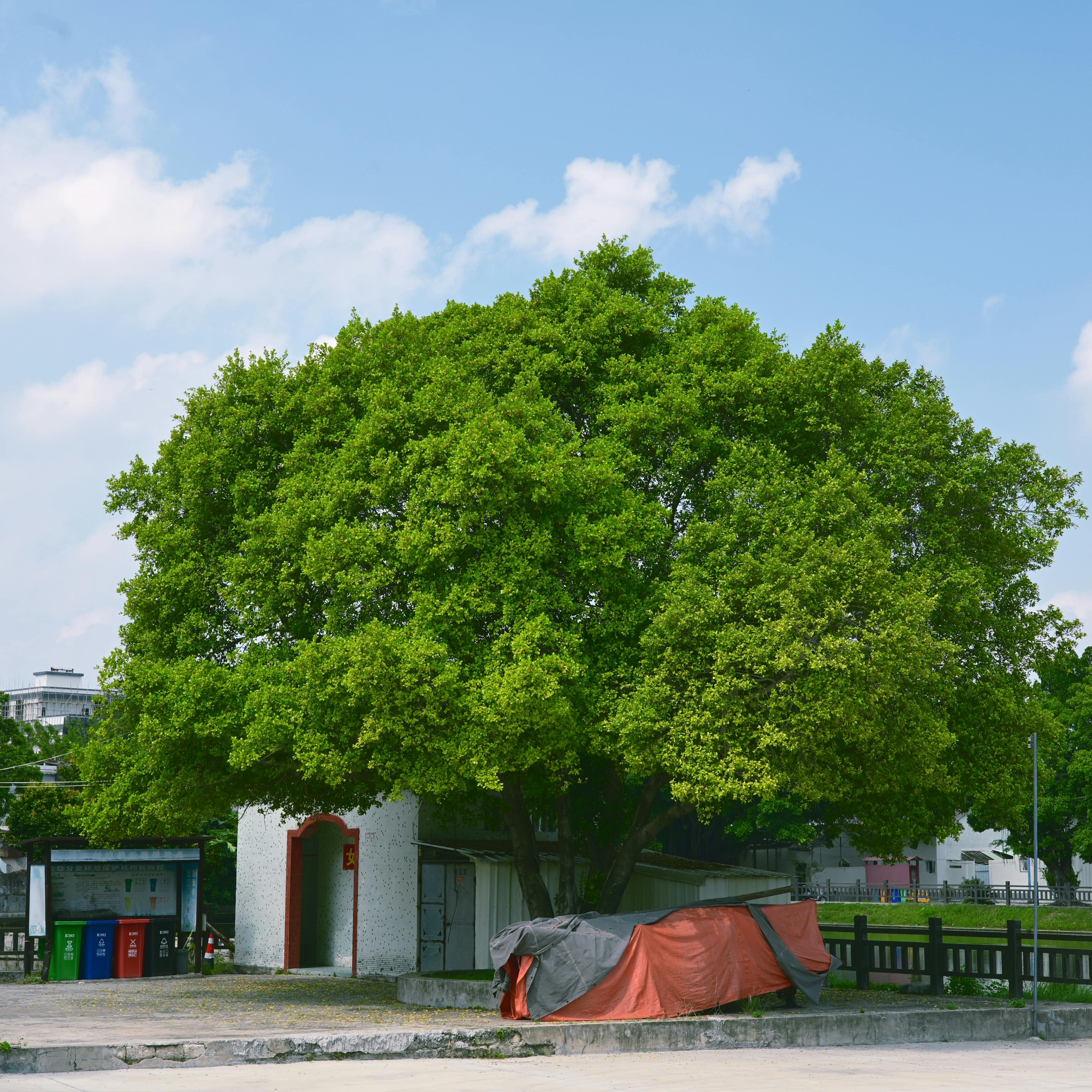 好的，我会遵循上述规则来优化您提供的句子
