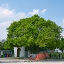 好的，我会遵循上述规则来优化您提供的句子