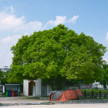 好的，我会遵循上述规则来优化您提供的句子