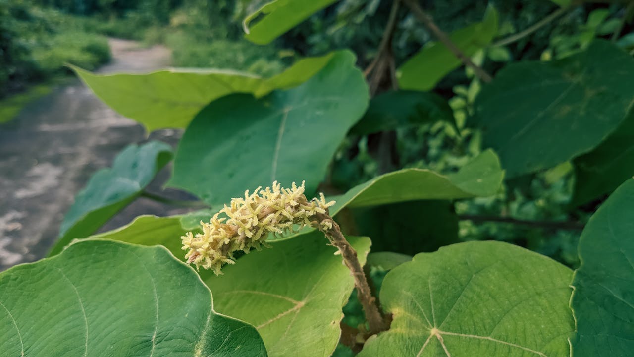 Thám tử lừng danh Conan | Chương 0950