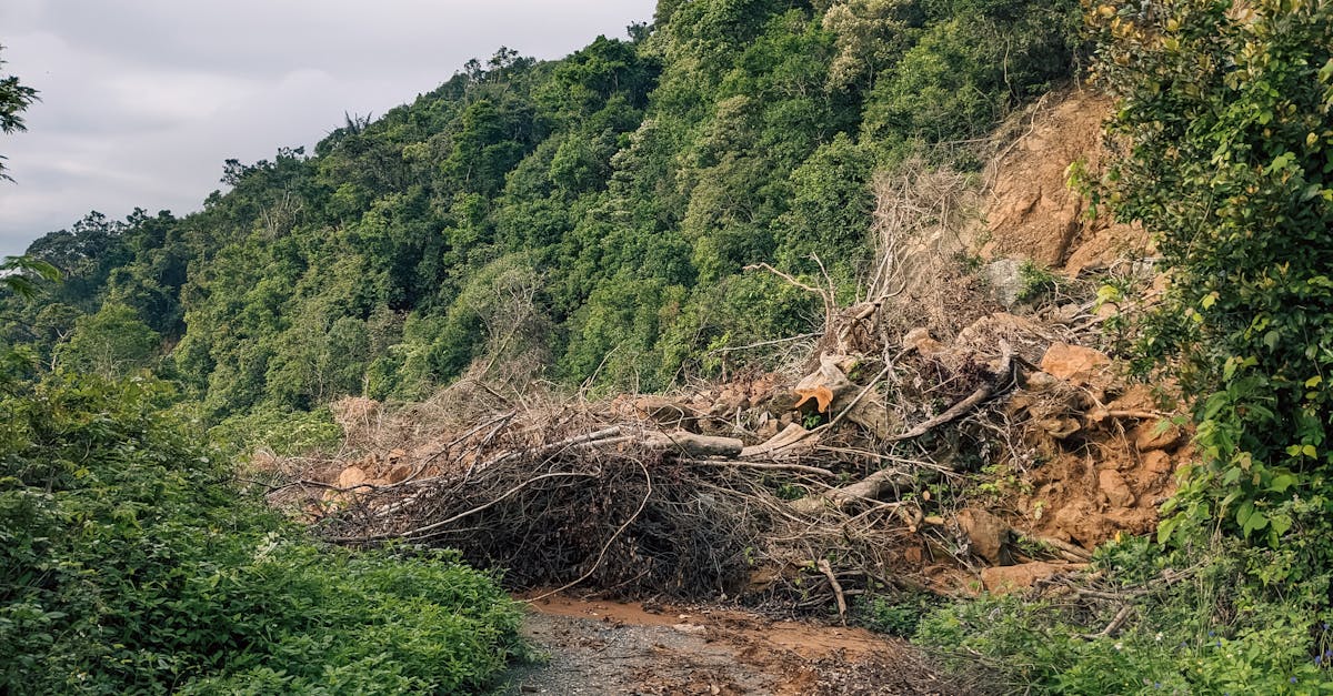 政治:花蓮官員退出救災群組引爭議 吳崑玉批無法無天