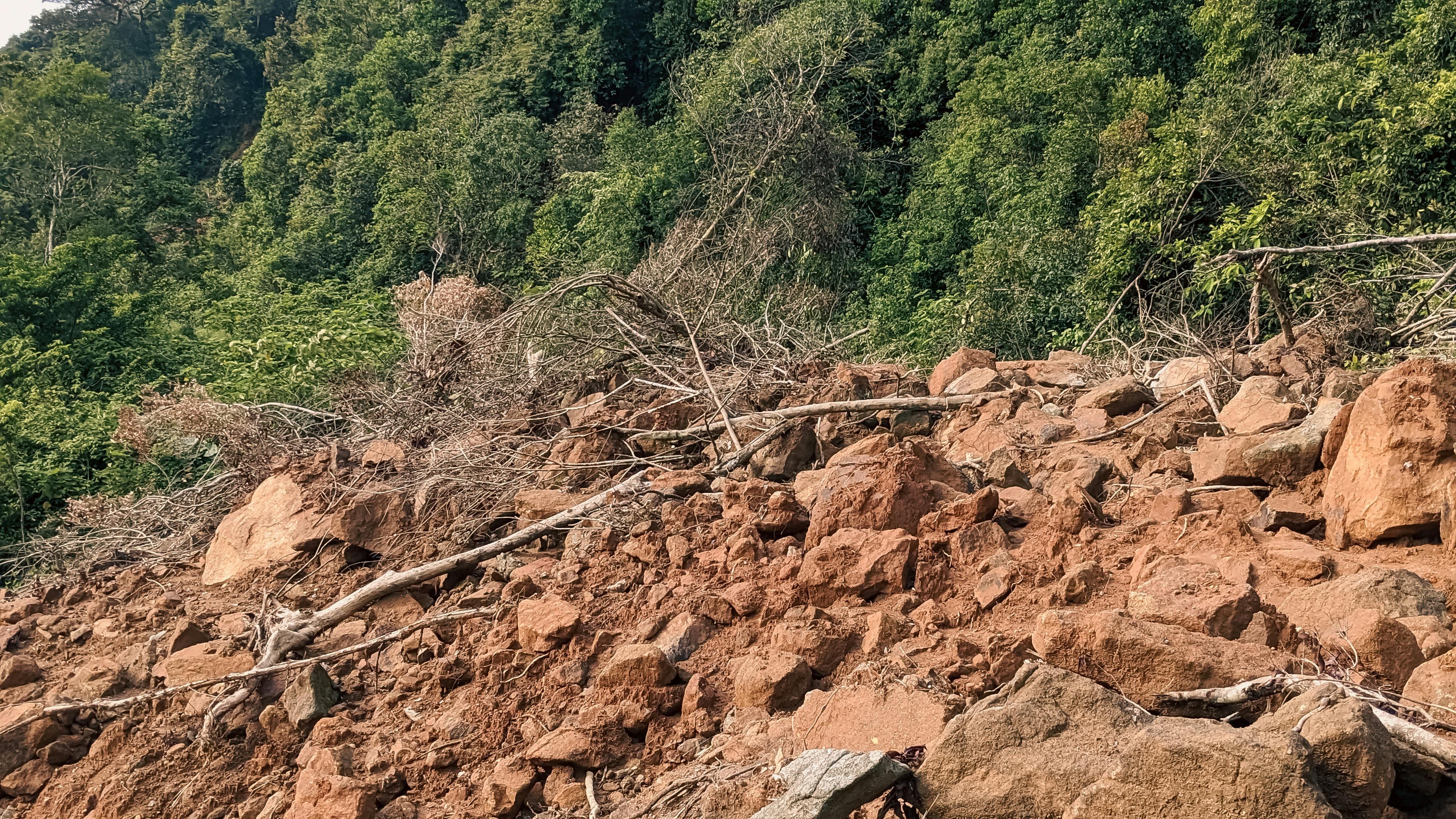 Cây sự sống thiên hà là gì? 102 – khoa hoc, cay su song, thien ha, vu tru hoc, panspermia, cay su song thien ha.