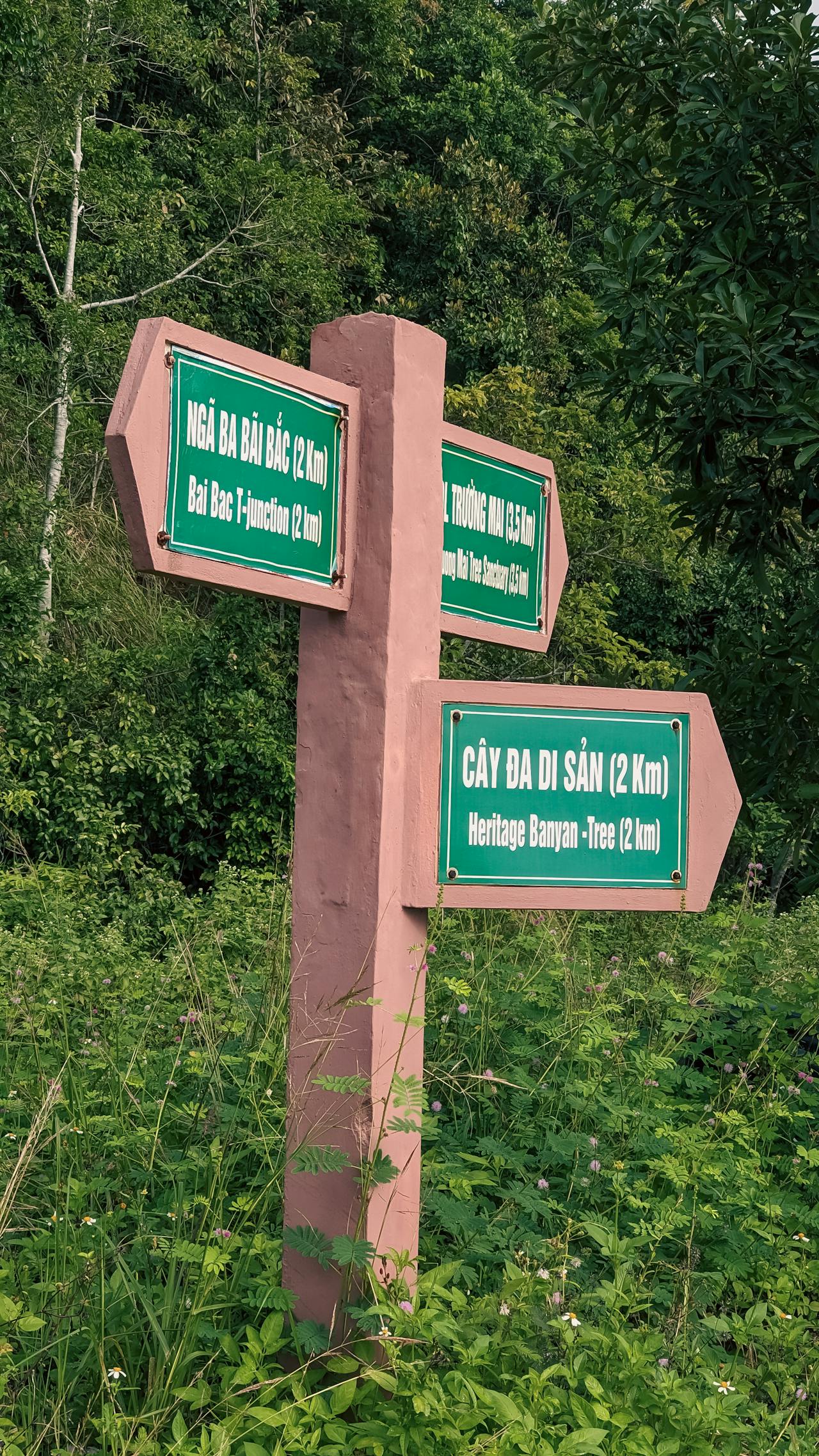 Danh sách những bộ phận thừa thãi nhất của cơ thể