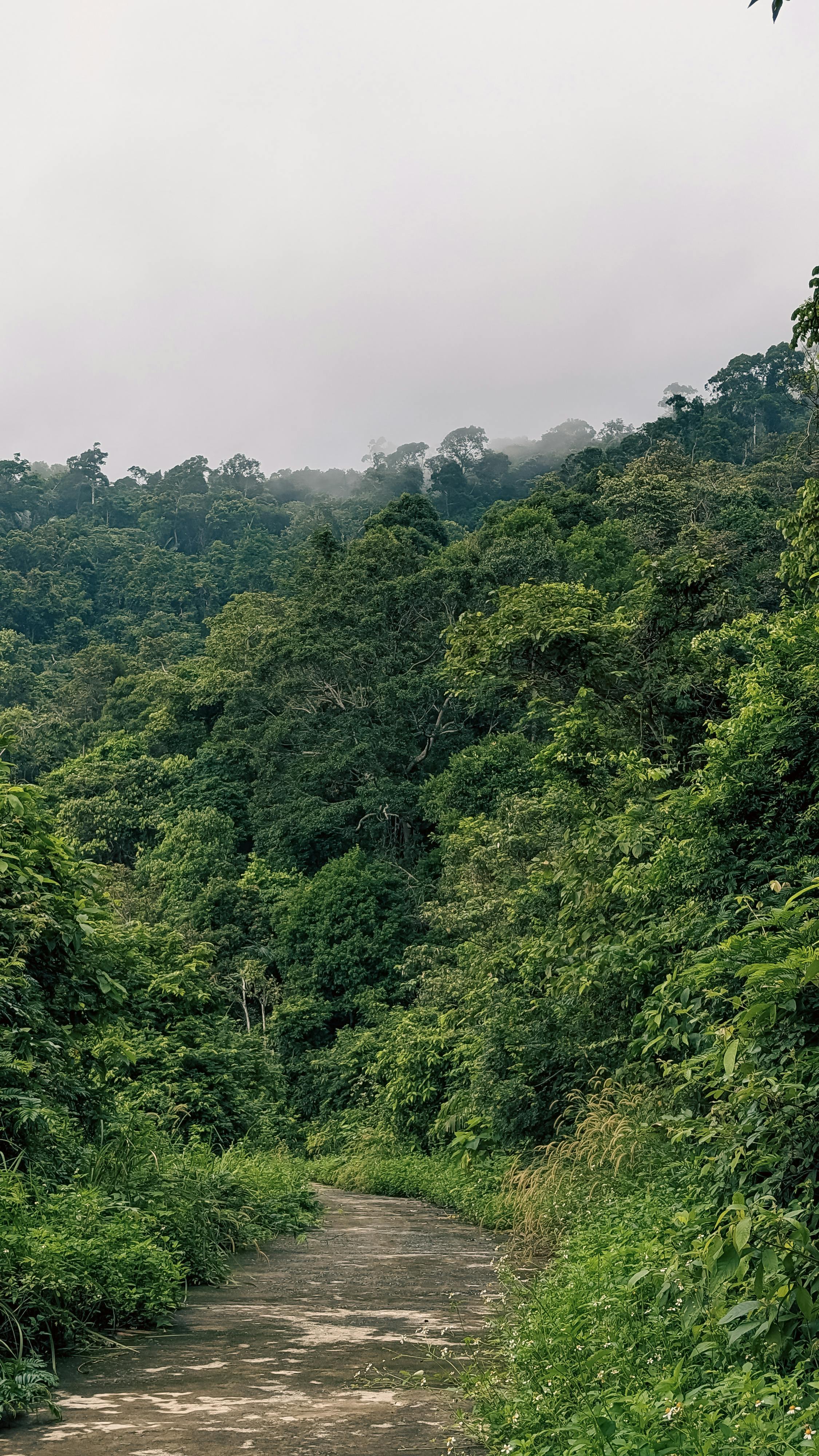 Trung tâm nghiên cứu văn học, phát triển nhà văn Việt Nam