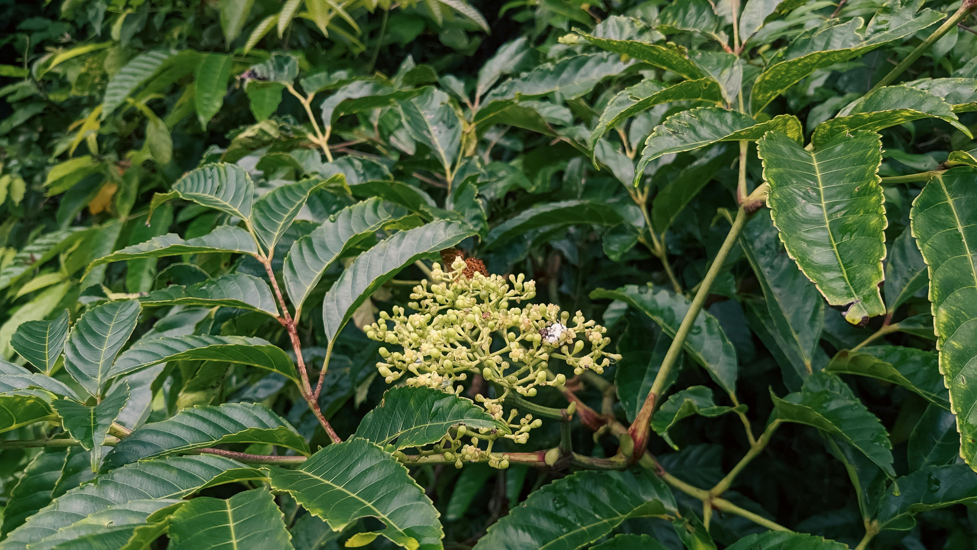 Danh sách theo thẻ bài cau-noi-hay, trang 4