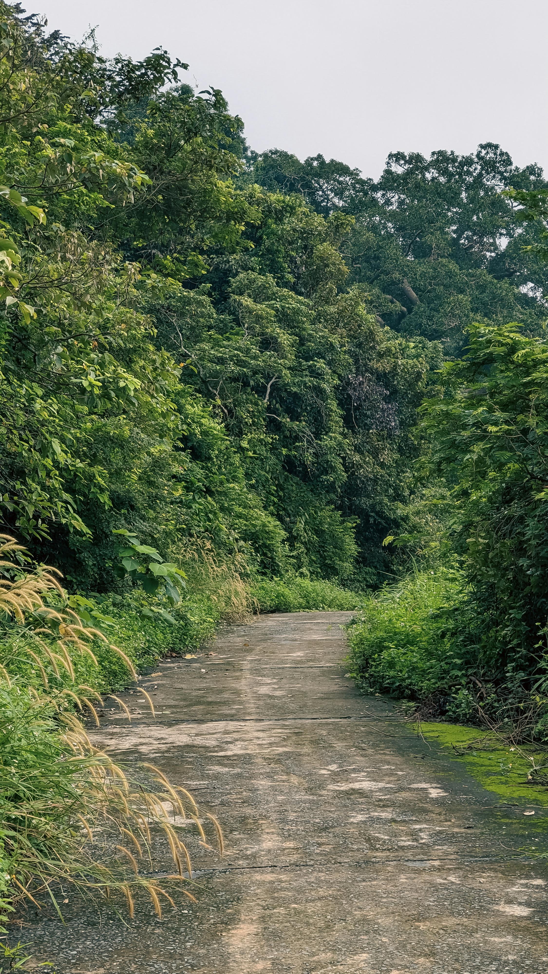 Thám tử lừng danh Conan | Chương 0271 357 – manga, gosho aoyama, case closed, tham tu lung danh conan, conan, detective conan, truyen tranh, trinh tham, pha an, trinh tham, kinh di, truyen conan, doc truyen conan, tham tu lung danh conan chuong 0271, tham tu lung danh conan 0271.