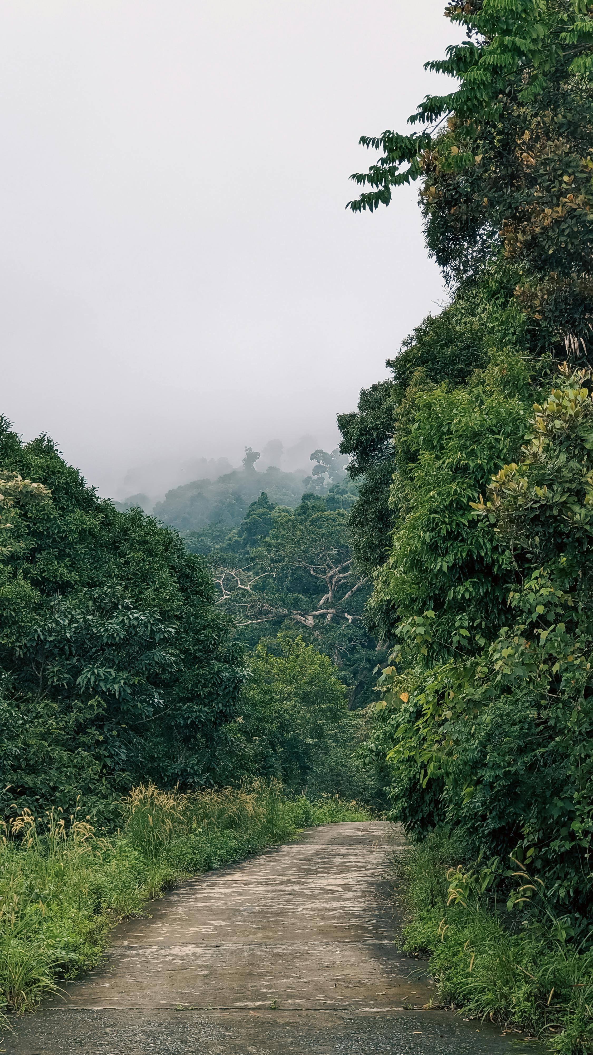 Trung tâm nghiên cứu văn học, phát triển nhà văn Việt Nam