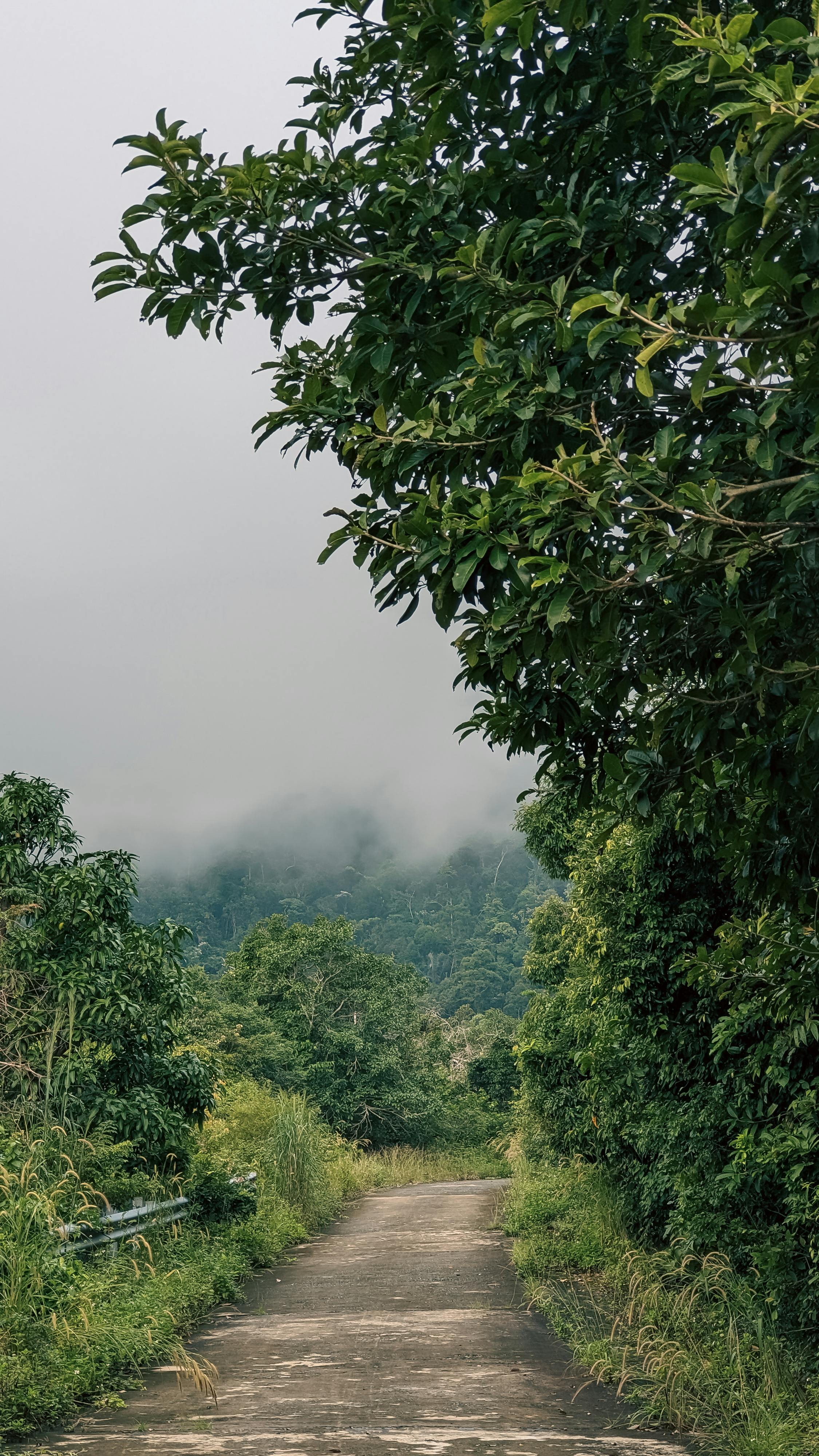 Trung tâm nghiên cứu văn học, phát triển nhà văn Việt Nam
