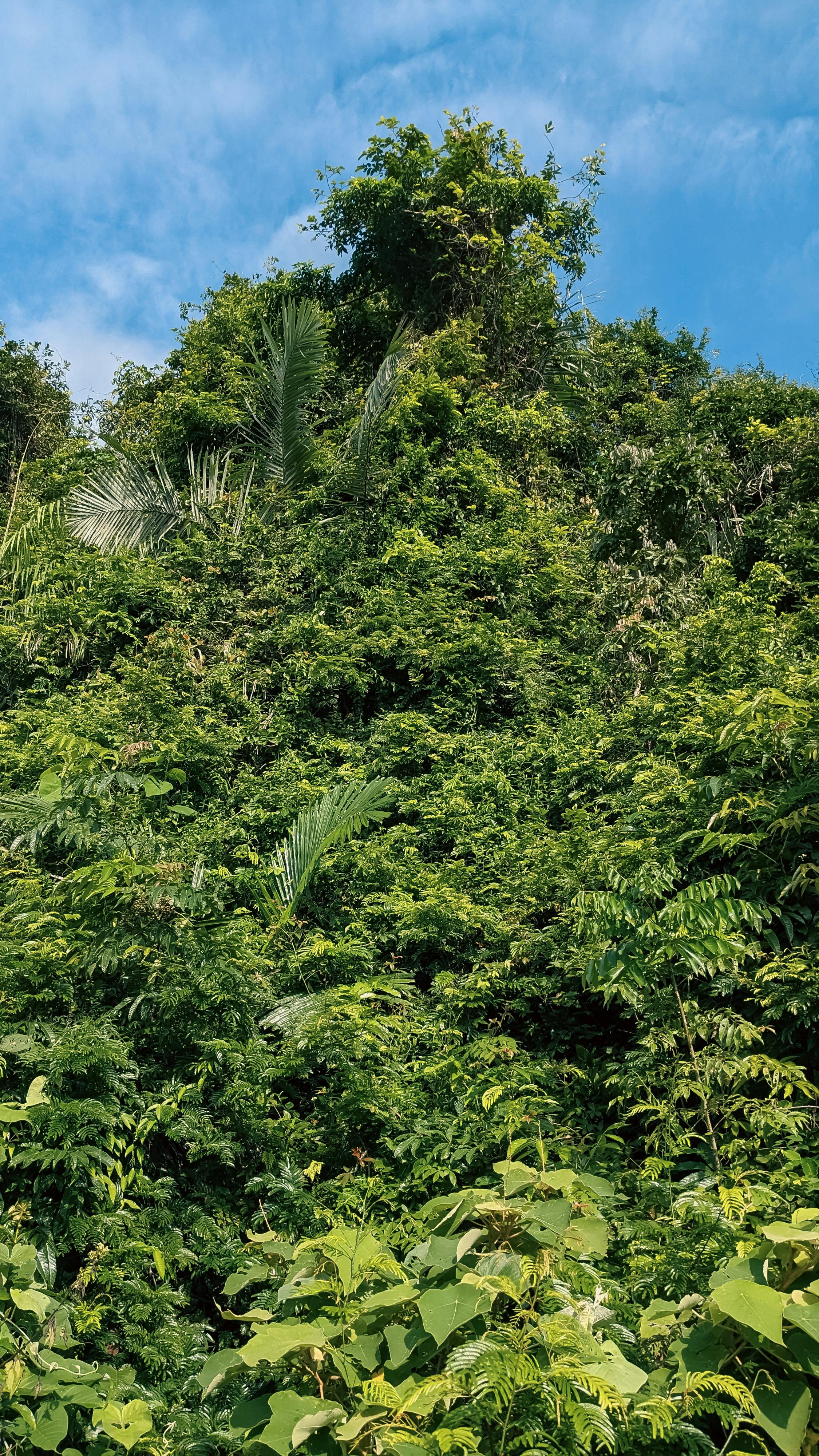 Danh sách theo thẻ lich-su-luu-day