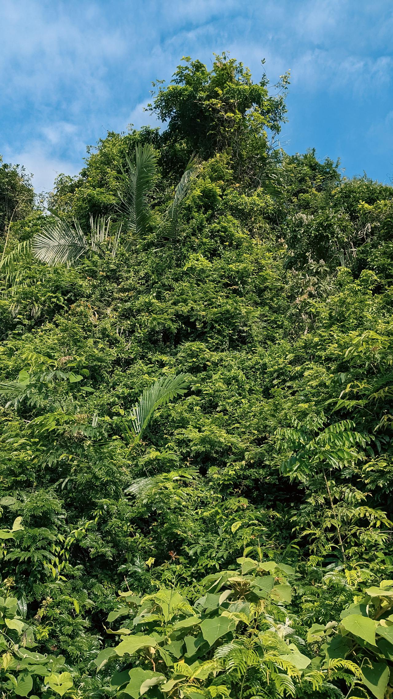 Thám tử lừng danh Conan | Chương 1039