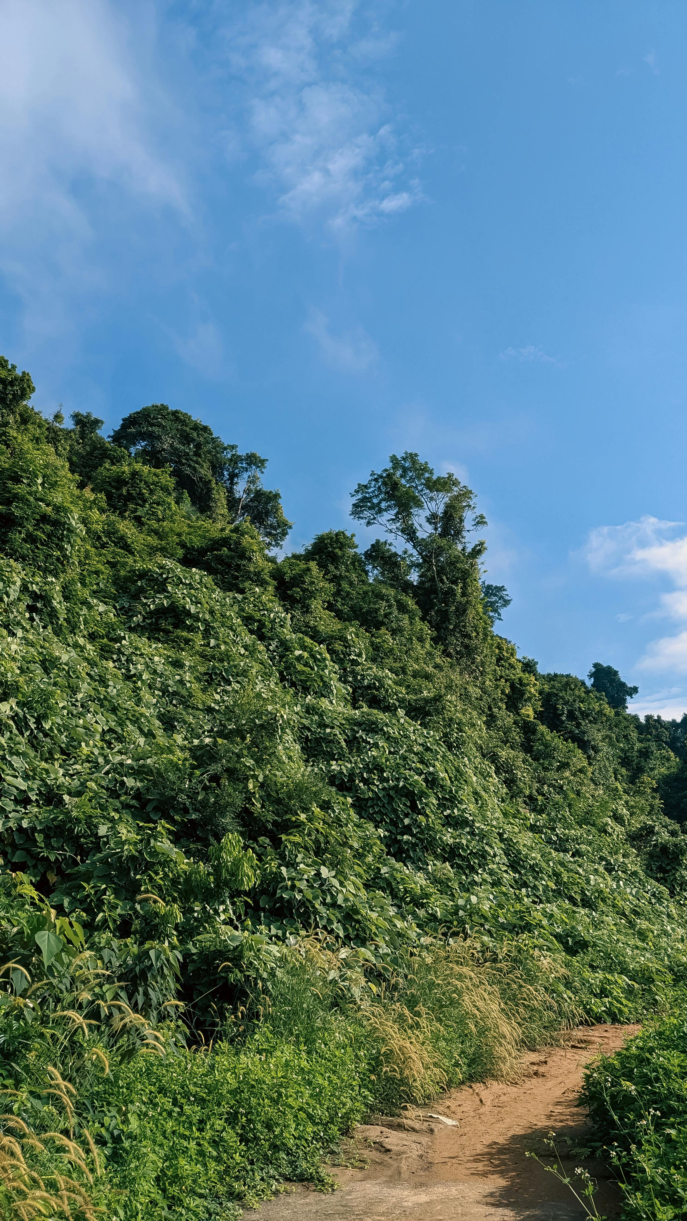 Chiến lược kinh doanh khách sạn năm 2024 Chiến lược kinh doanh khách sạn năm 2024 973 – viet thue, marketing, khach san, b2b, kenh ota, free booking links, channel manager, property management system, khach san kinh doanh toi uu.