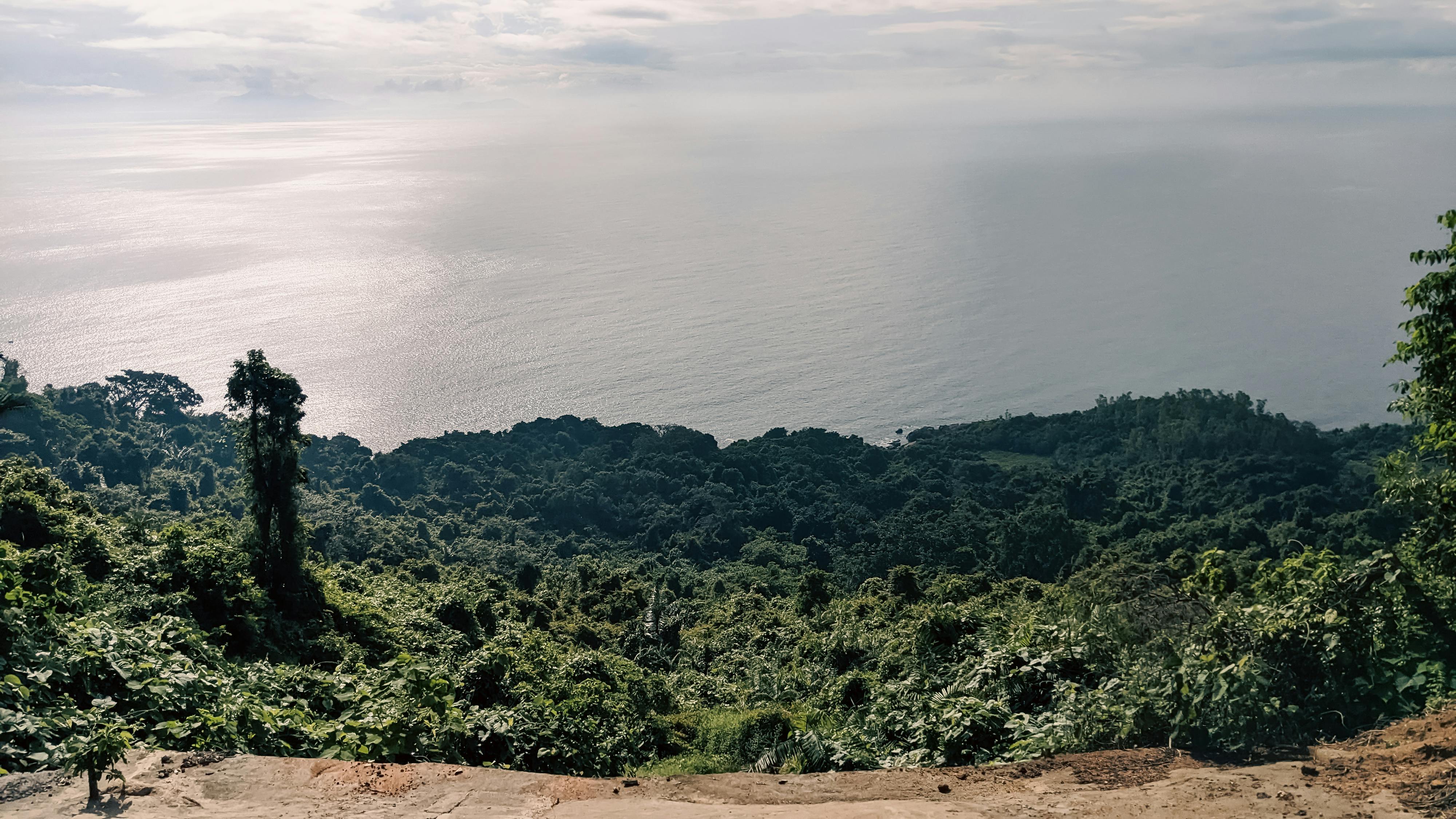 Trung tâm nghiên cứu văn học, phát triển nhà văn Việt Nam