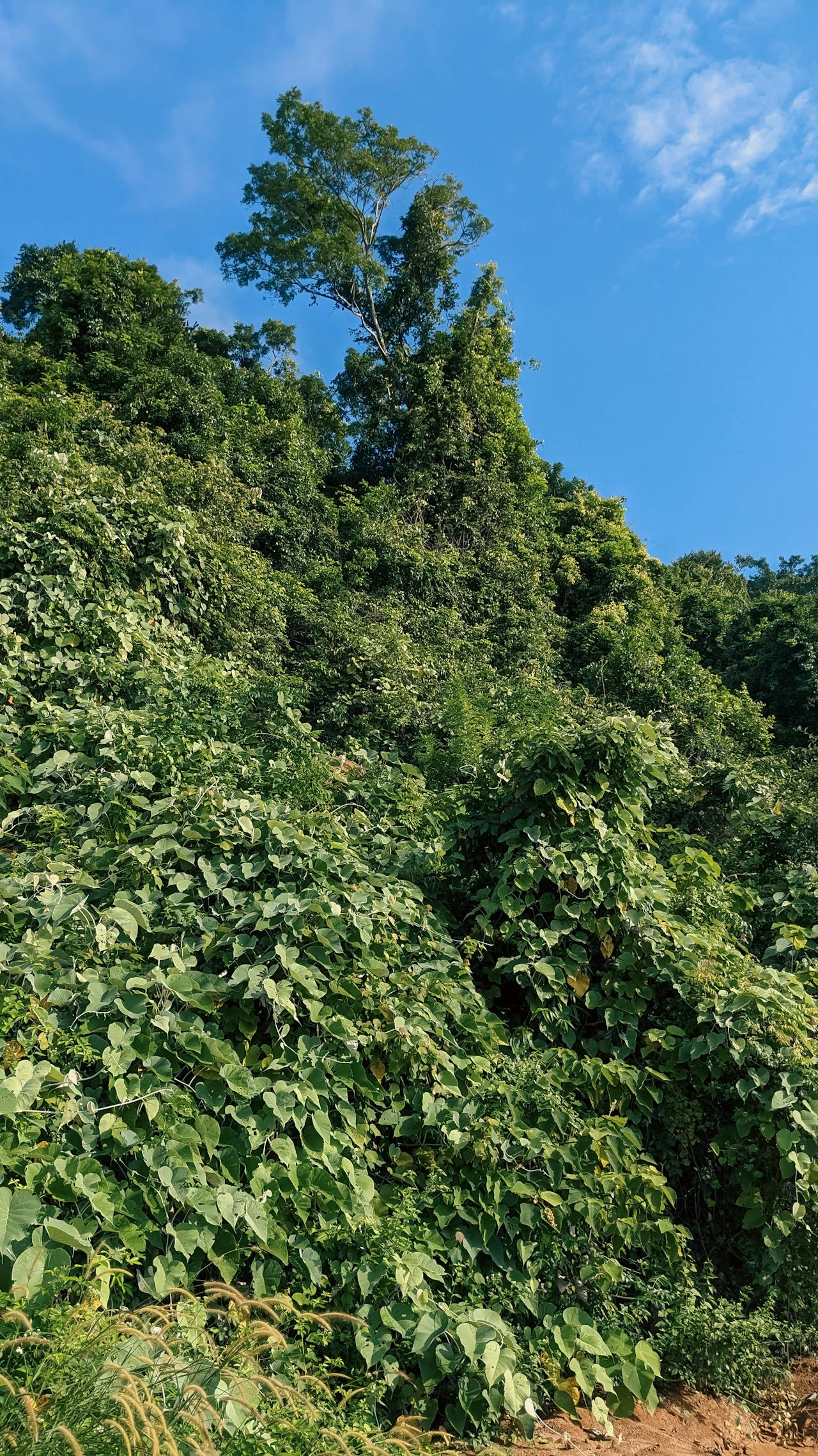 4 lý do Spa nên dùng phần mềm quản lý