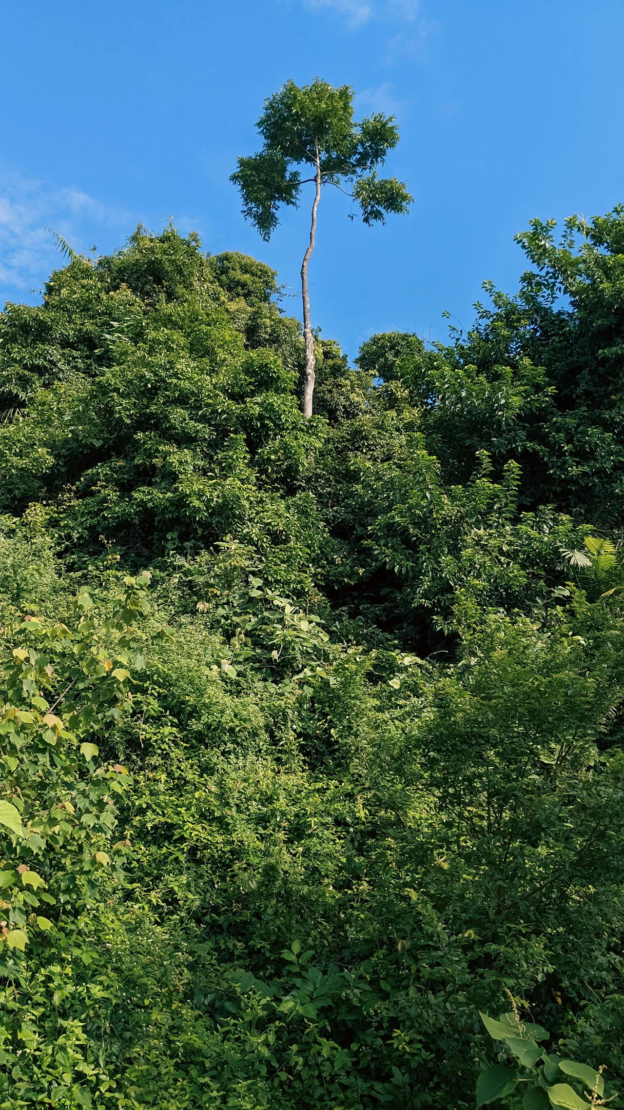 Hiểu về trái tim | Chương 33