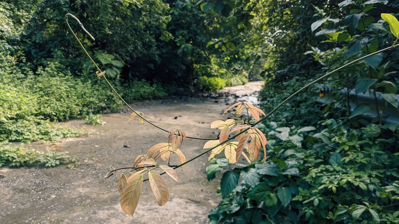 Xa lạ trong tôi | Chương 40