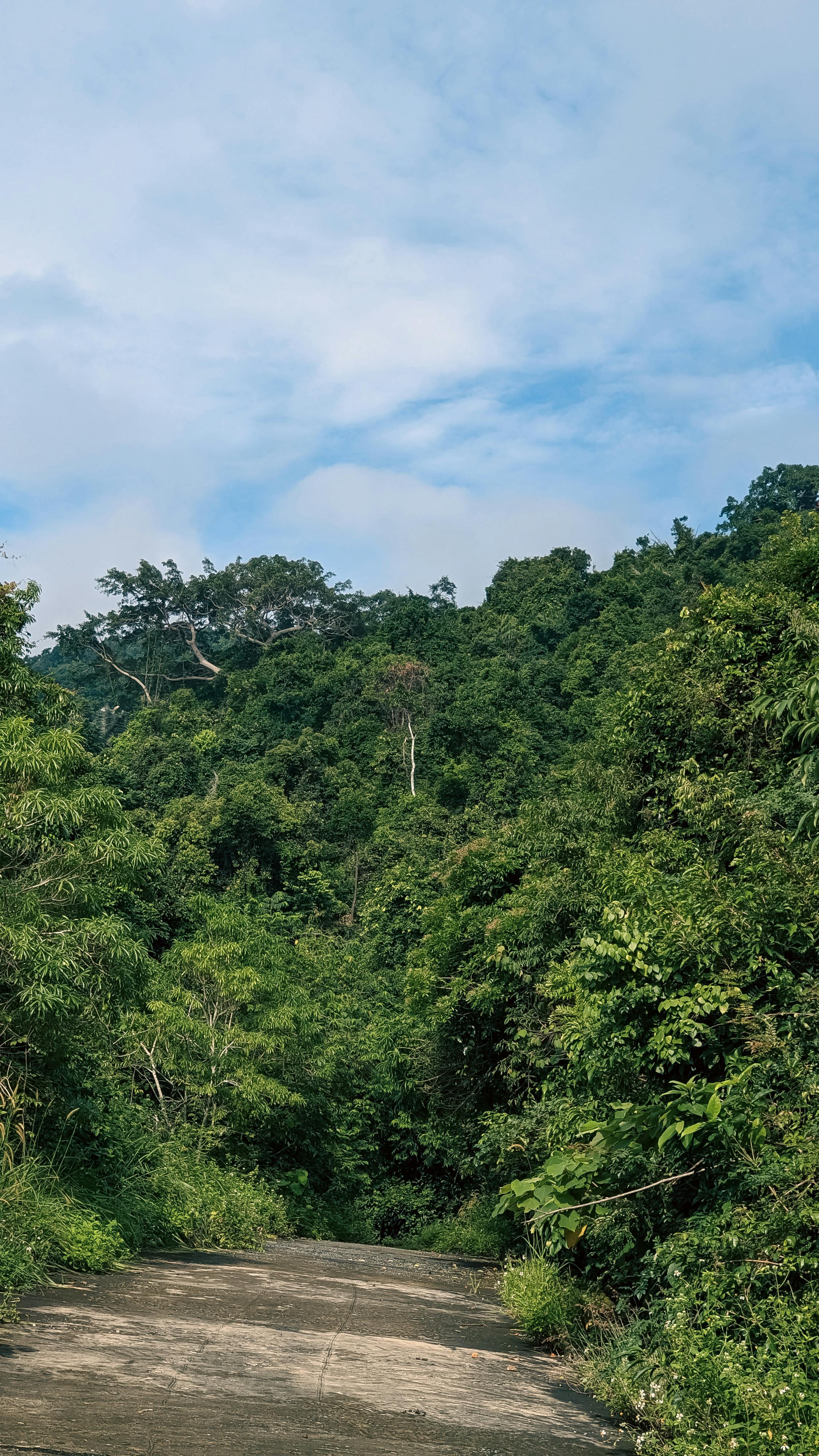 Danh sách theo thẻ thien-van, trang 5