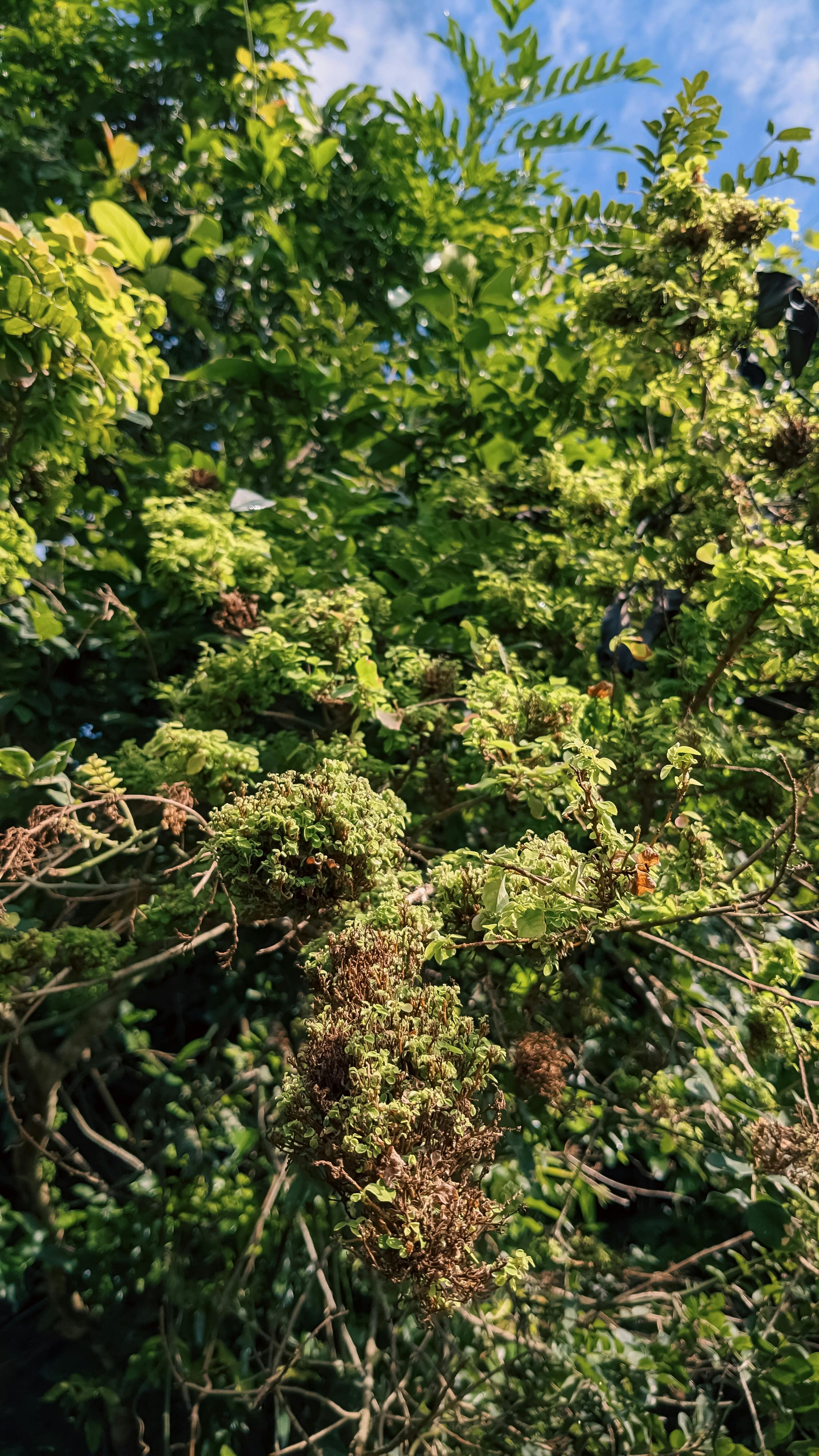 Xa lạ trong tôi | Chương 11 991 – thu vien, van hoc, van hoc nuoc ngoai, tieu thuyet, orhan pamuk, xa la trong toi, xa la trong toi chuong 11, xa la trong toi 11.
