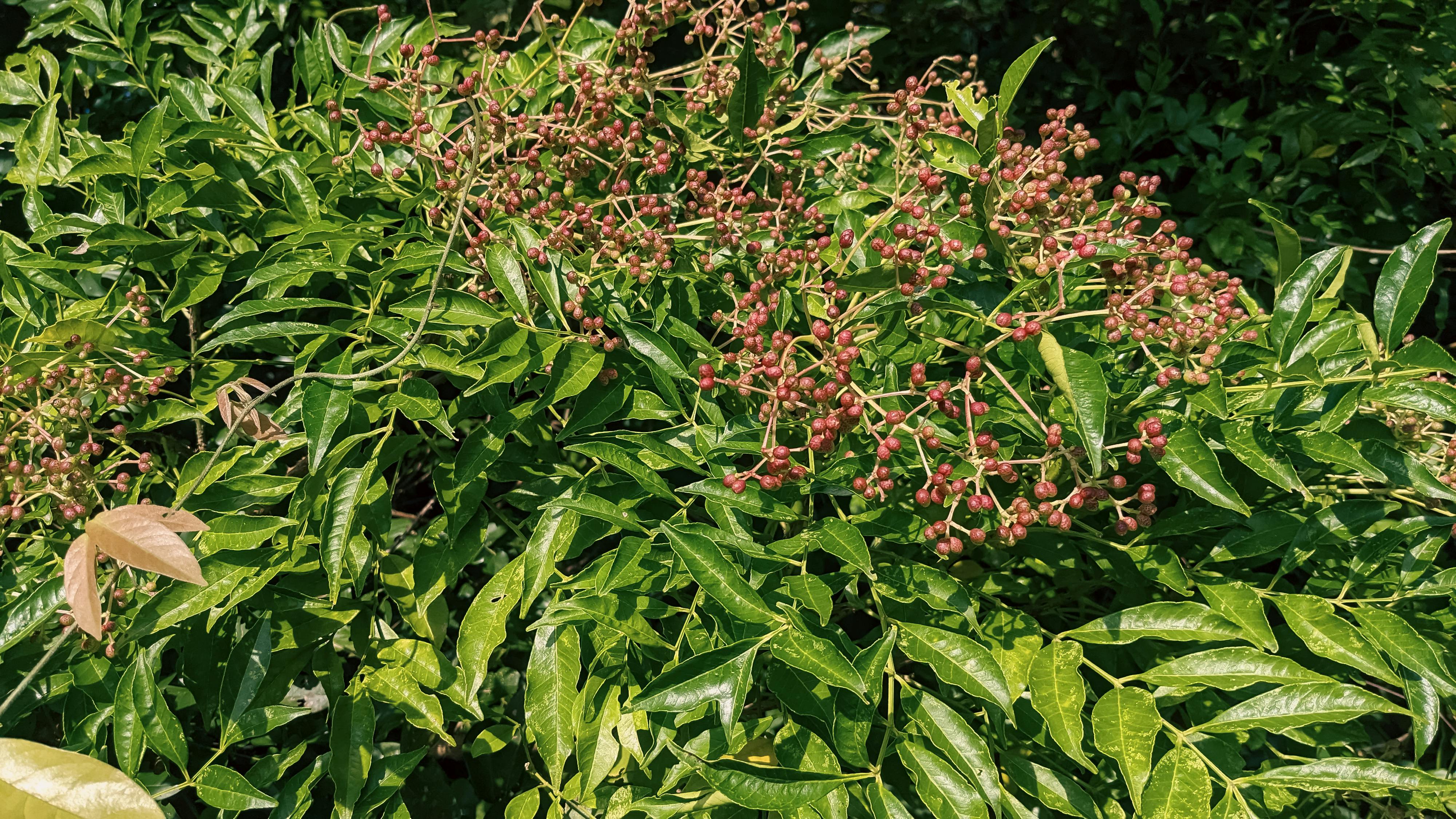 Hướng dẫn đầy đủ về quy định và quy tắc khách sạn Hướng dẫn đầy đủ về quy định và quy tắc khách sạn 618 – viet thue, marketing, khach san, b2b, kenh ota, free booking links, channel manager, property management system, khach san quy tac.