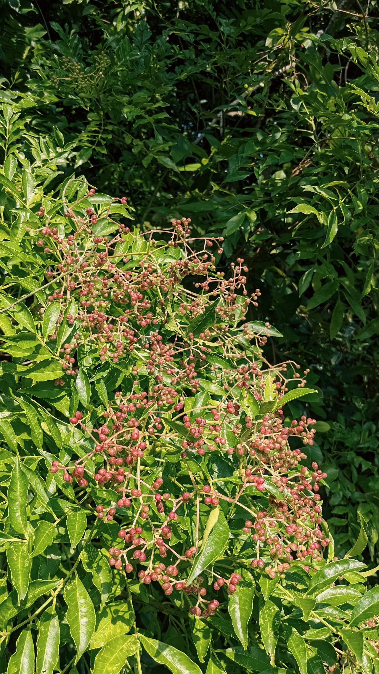 Thám tử lừng danh Conan | Chương 0373