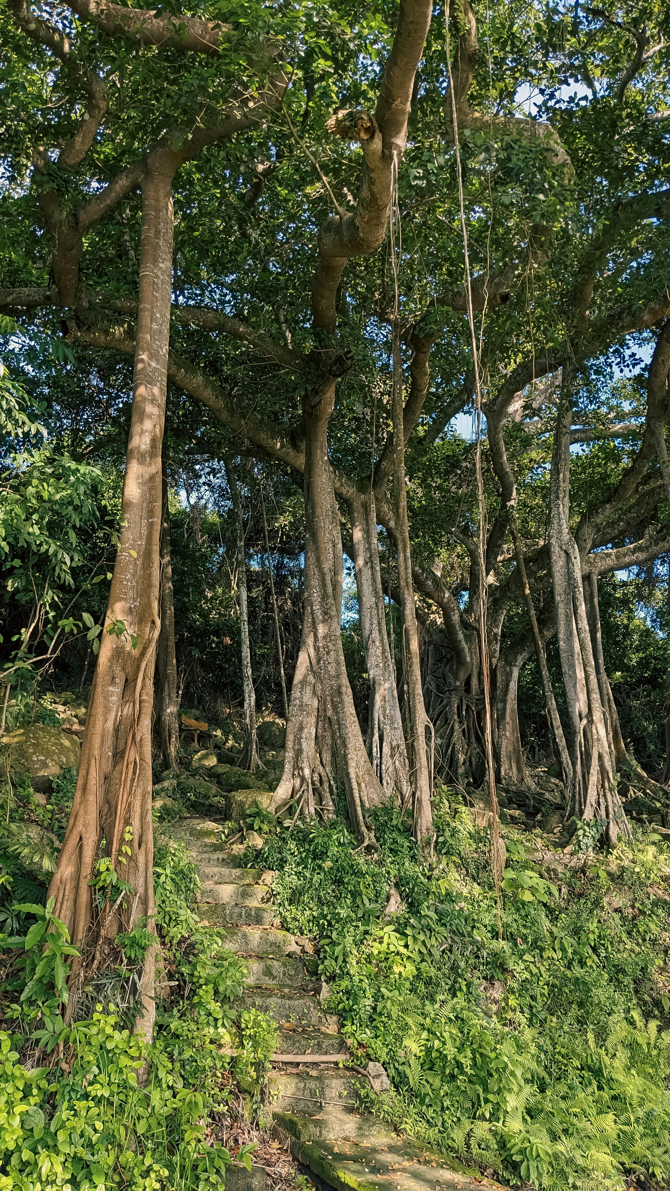 Trung tâm nghiên cứu văn học, phát triển nhà văn Việt Nam