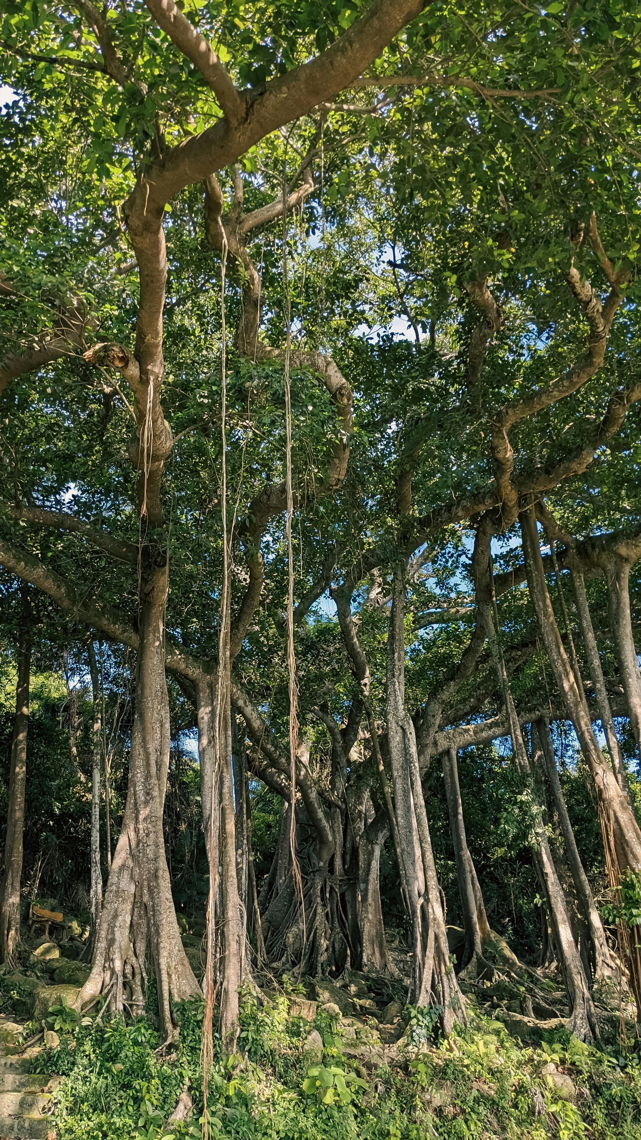 Danh sách theo thẻ van-hoc, trang 14