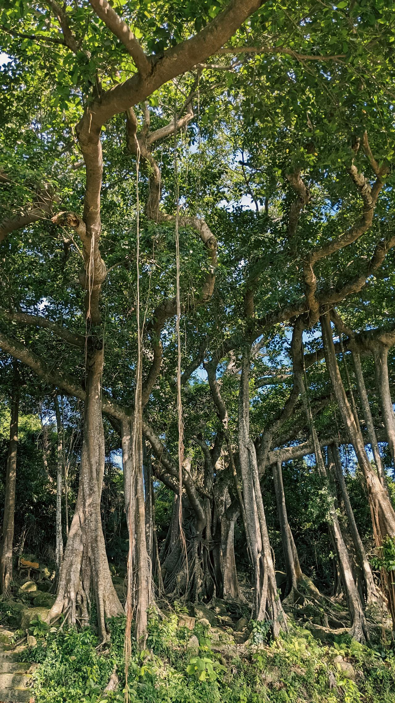 Thám tử lừng danh Conan | Chương 0391