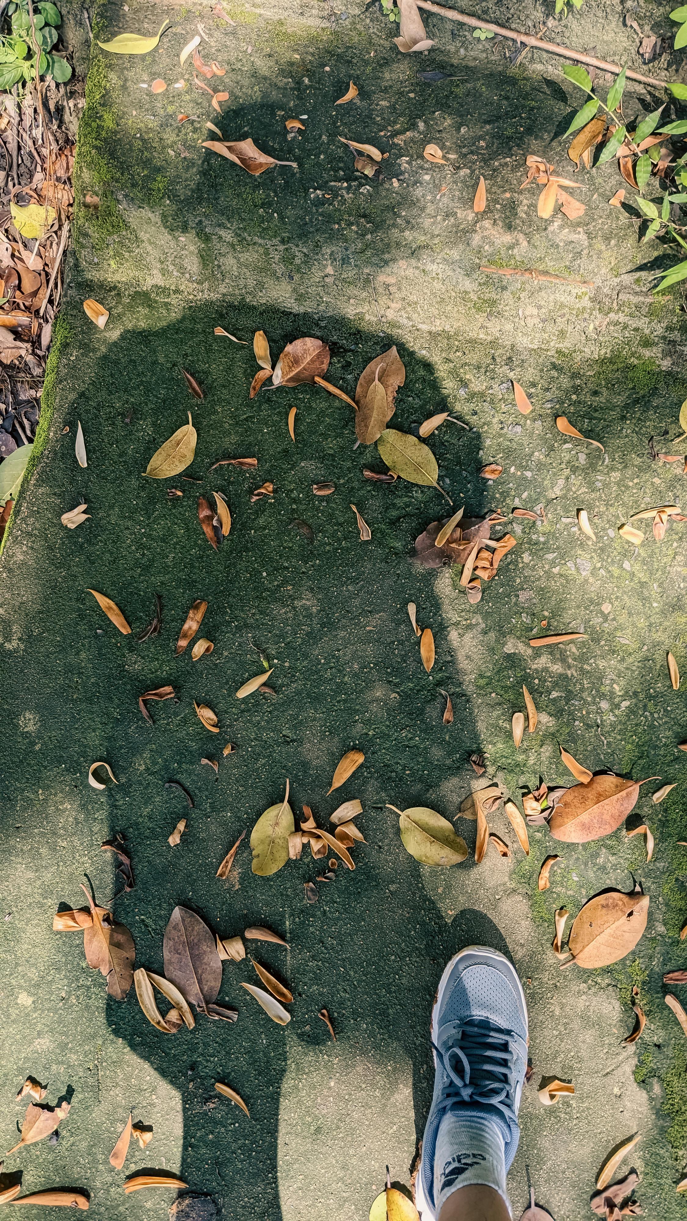 Đường xưa mây trắng | Chương 59 335 – thu vien, van hoc, van hoc viet nam, doan van, ton giao, phat giao, thien van, thuc hanh ton giao, thich nhat hanh, duong xua may trang, duong xua may trang chuong 60, duong xua may trang 60.