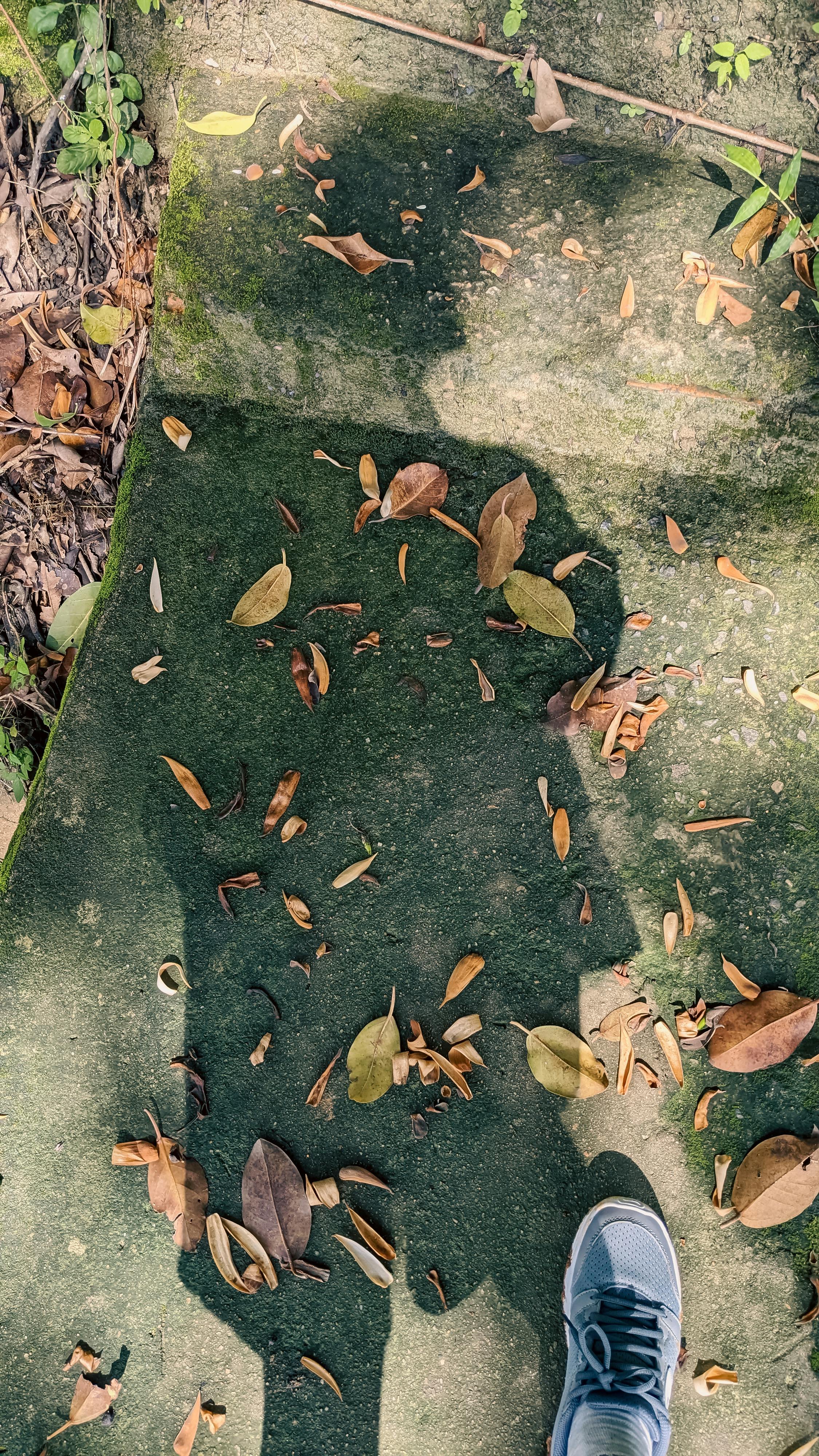 Trung tâm nghiên cứu văn học, phát triển nhà văn Việt Nam