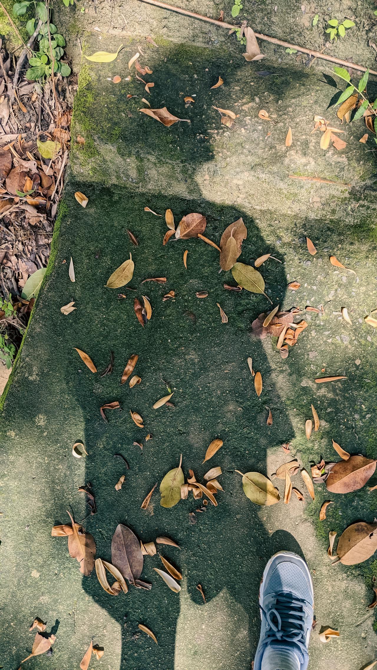 Anh hùng xạ điêu | Chương 30