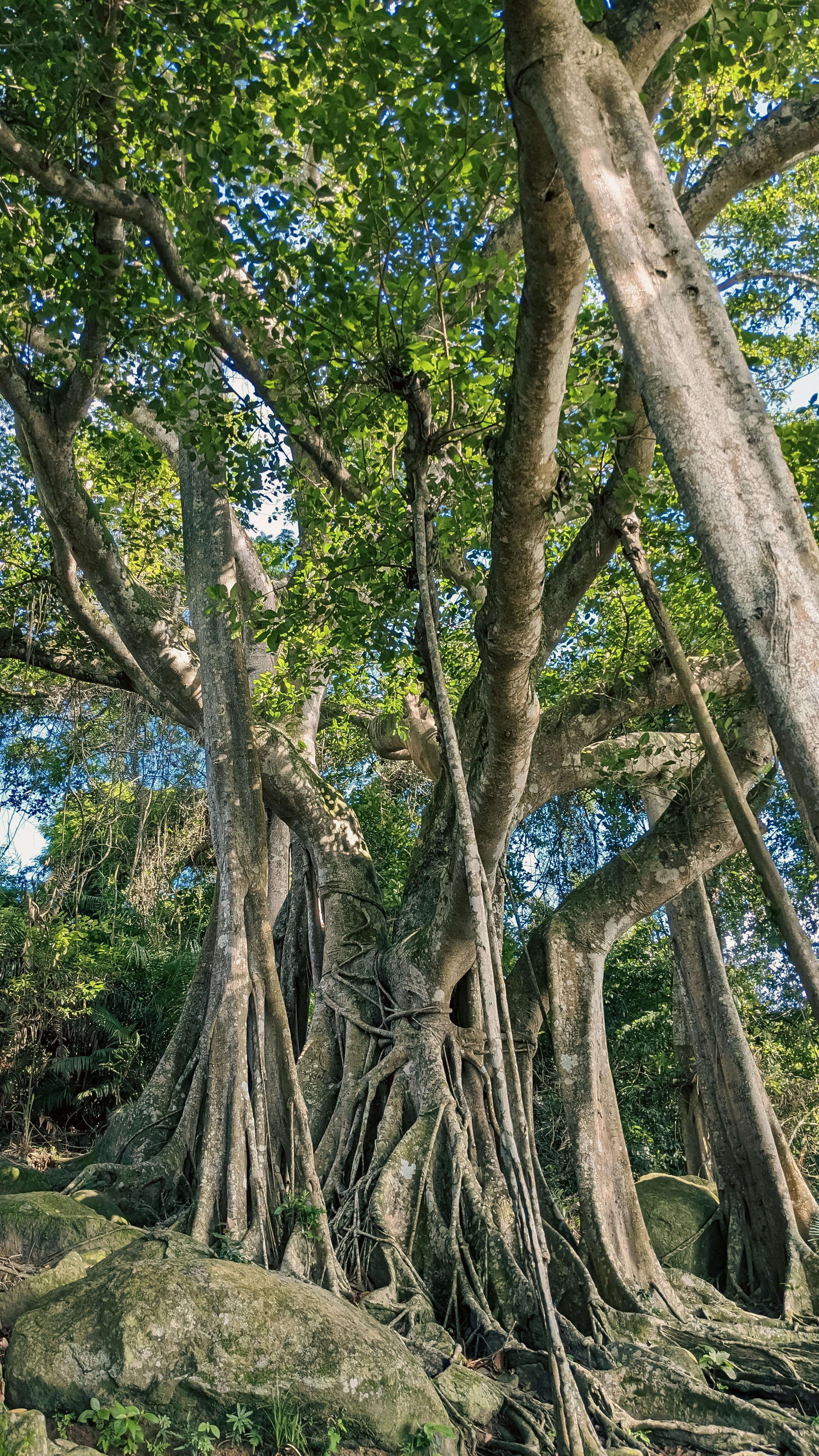 Trung tâm nghiên cứu văn học, phát triển nhà văn Việt Nam
