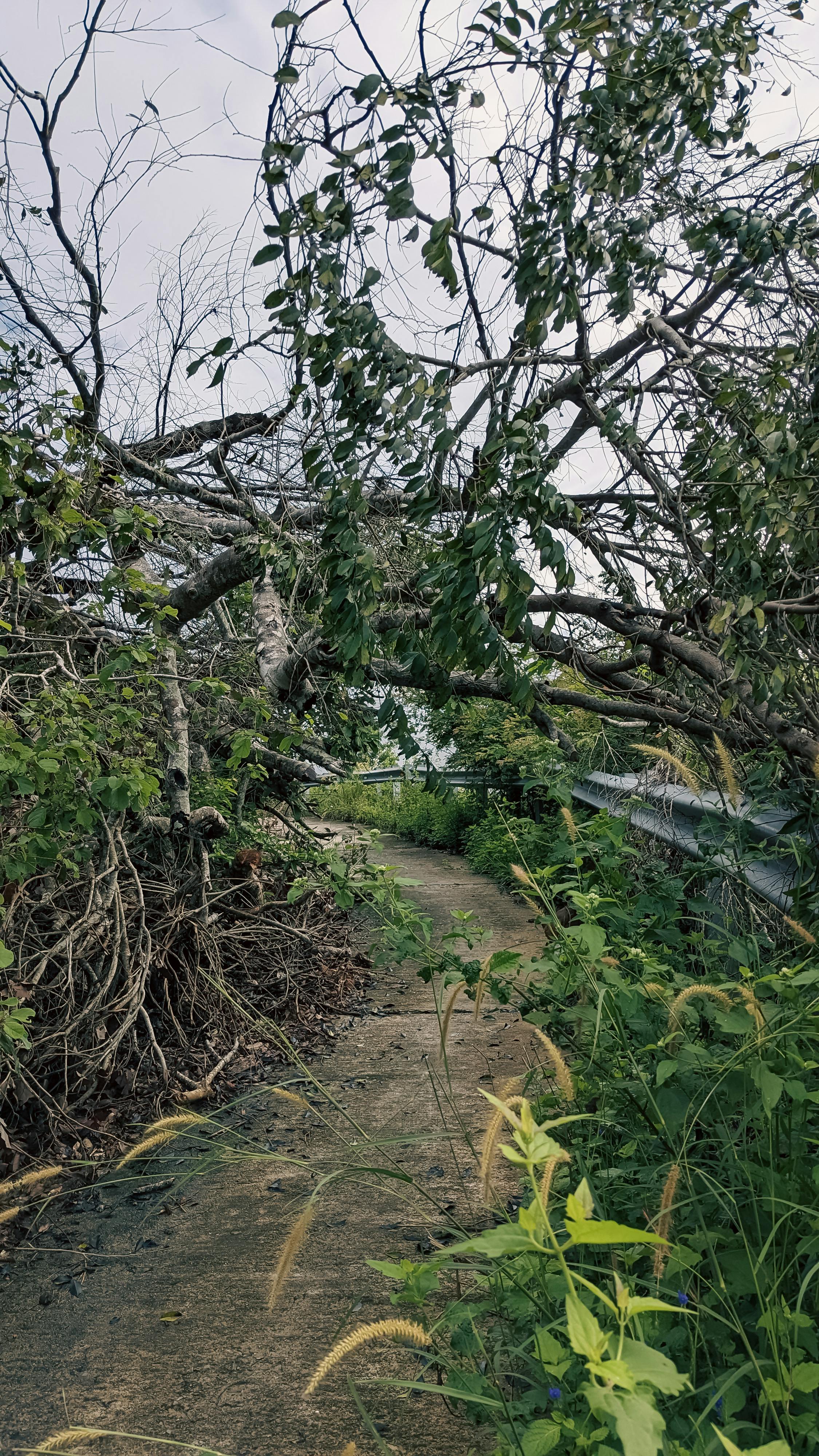 Thiên long bát bộ | Chương 40 589 – thu vien, van hoc, van hoc trung quoc, kiem hiep, kim dung, thien long bat bo, thien long bat bo chuong 40, thien long bat bo 40.