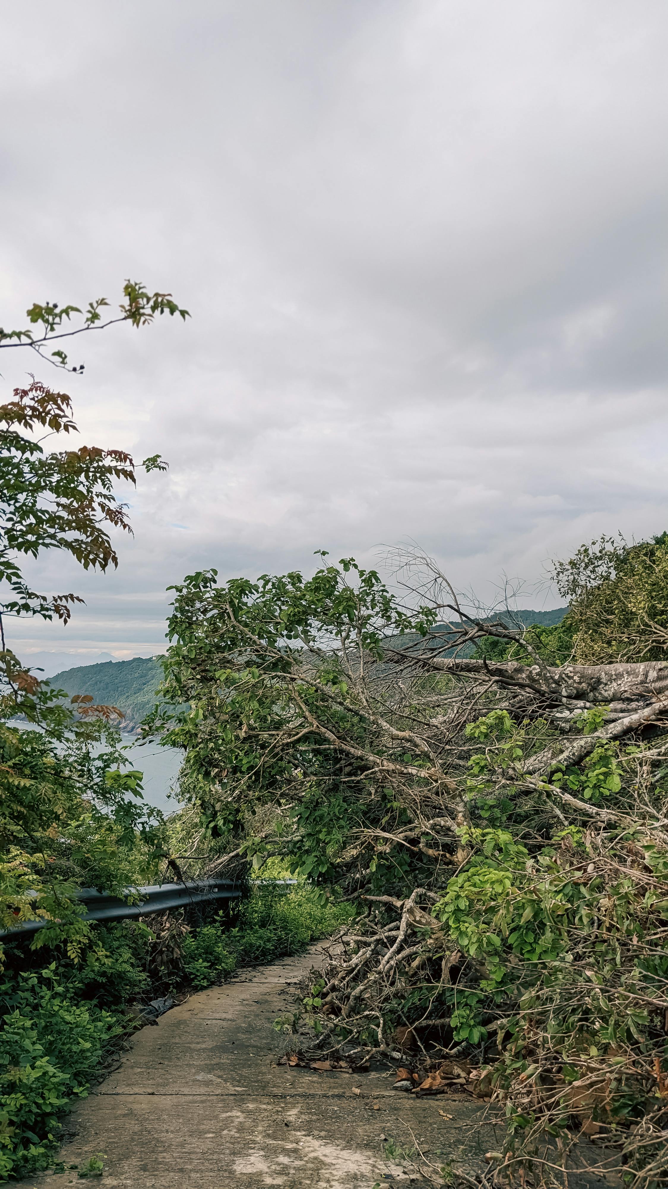 Thiên long bát bộ | Chương 02 891 – thu vien, van hoc, van hoc trung quoc, kiem hiep, kim dung, thien long bat bo, thien long bat bo chuong 02, thien long bat bo 02.
