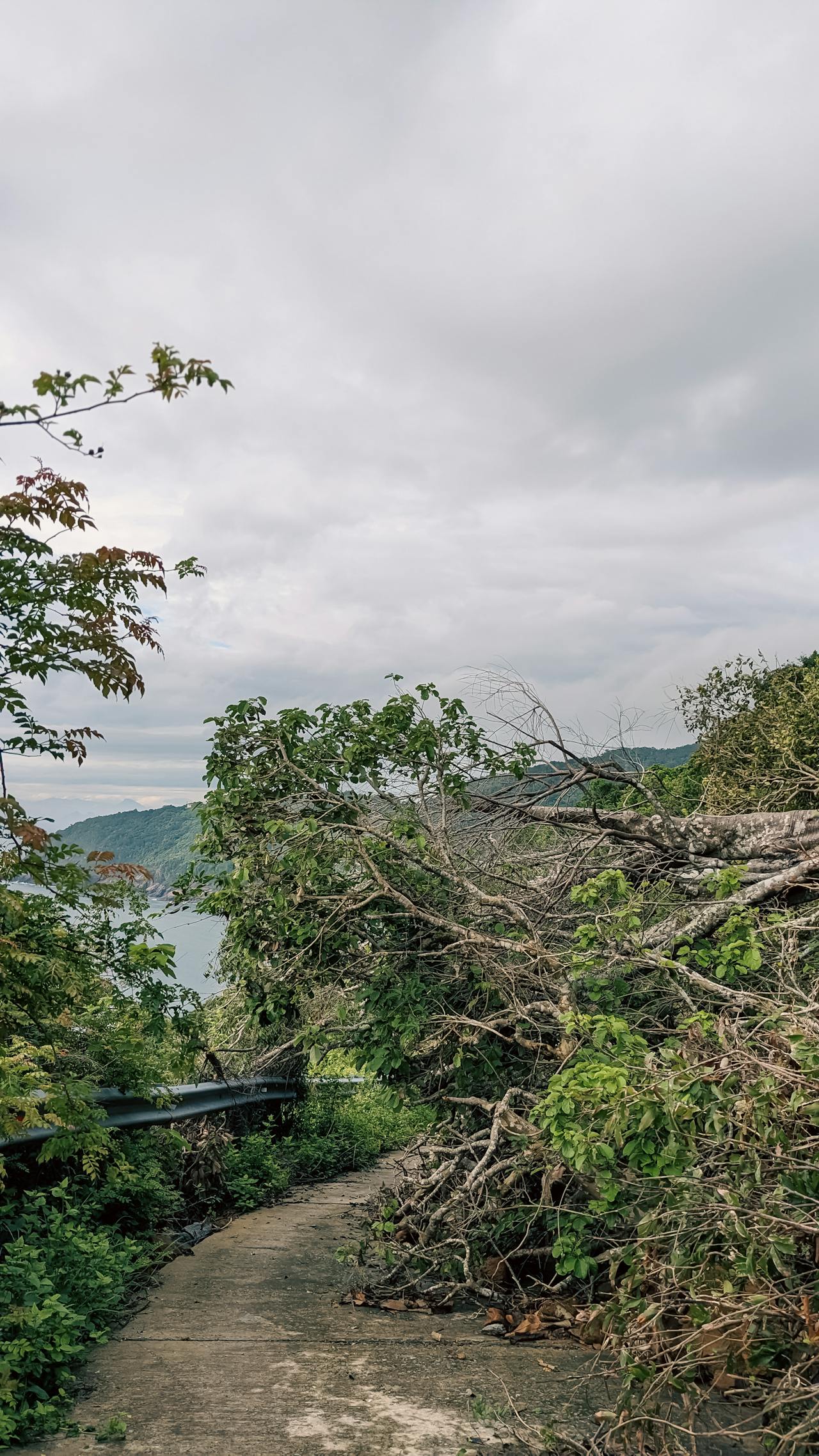 Thần điêu hiệp lữ | Chương 05