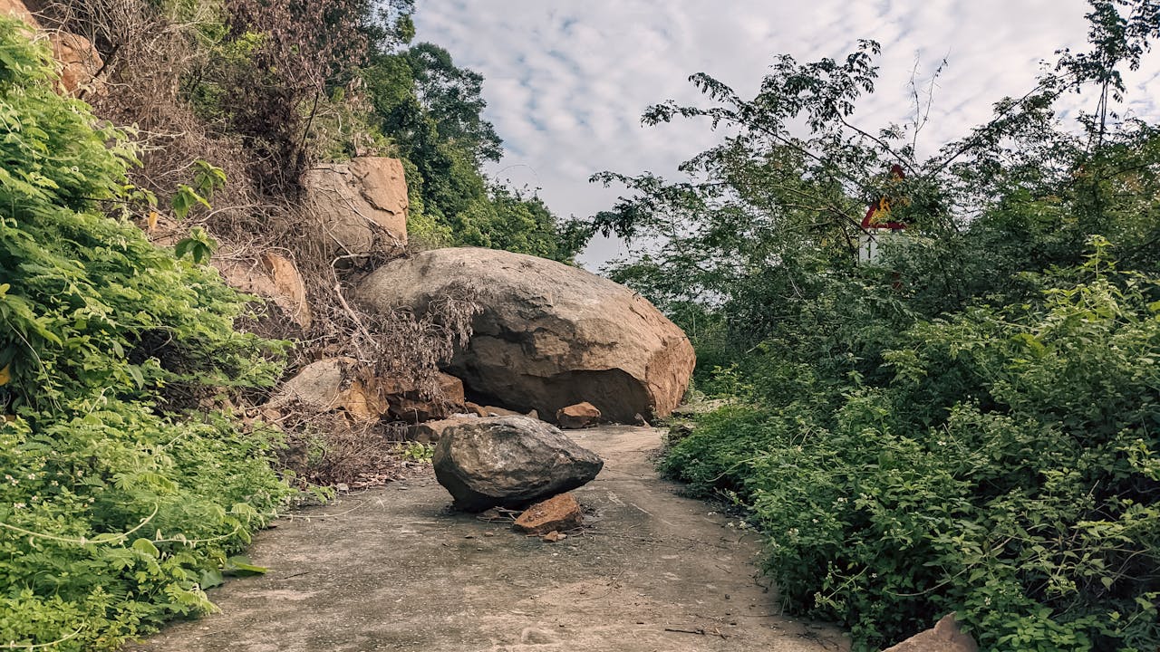 Hướng dẫn viết báo cáo cơ bản