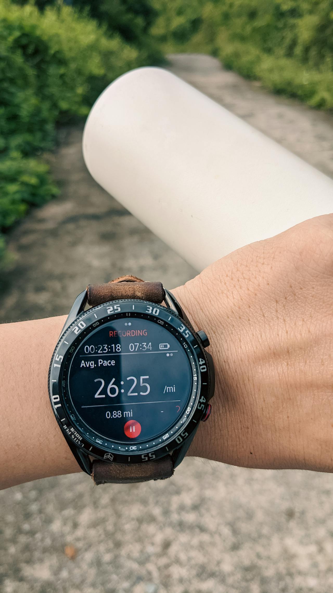 Lịch sử của băng, xa xỉ phẩm đầu tiên