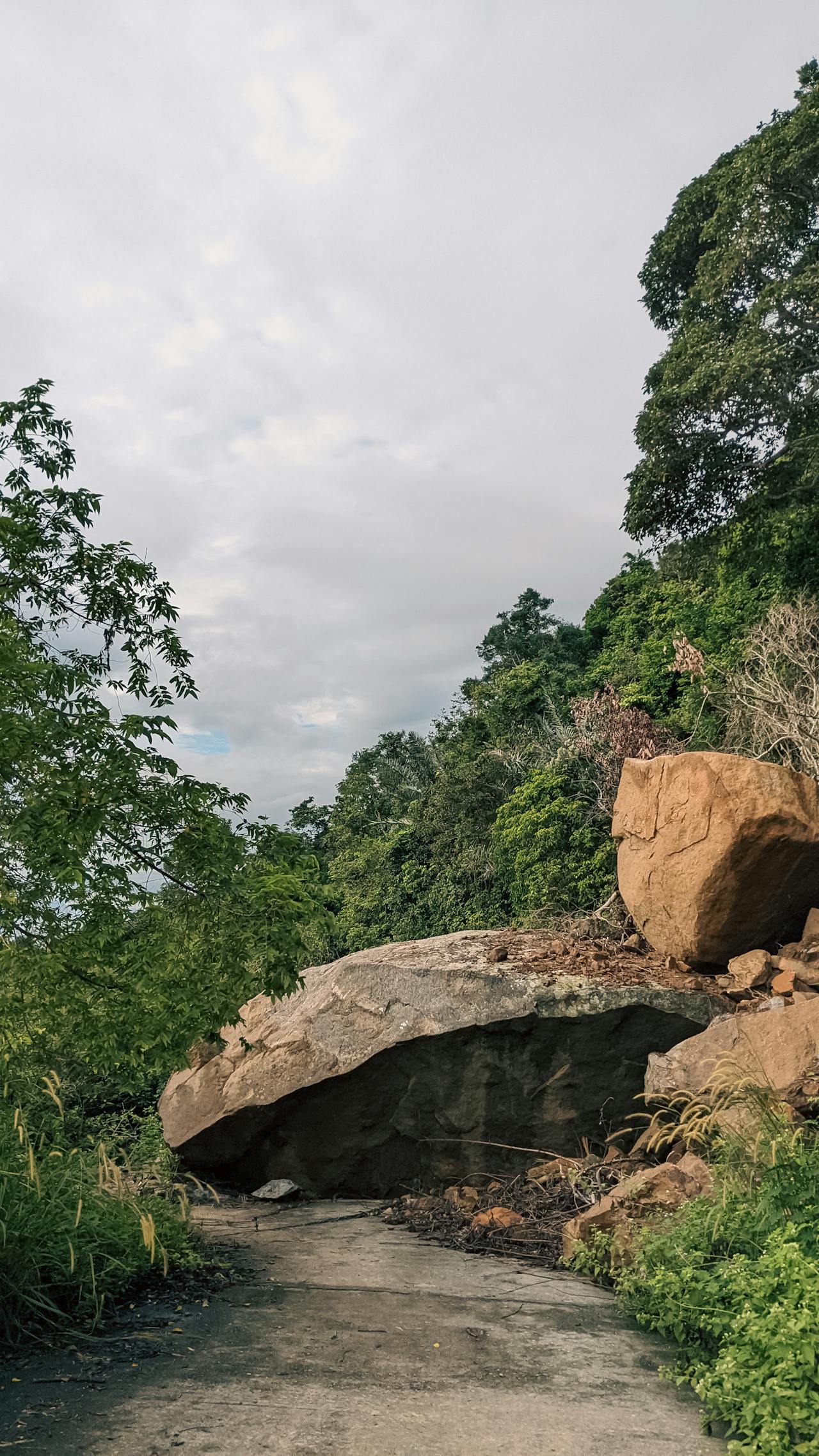 Ỷ thiên đồ long ký | Chương 12